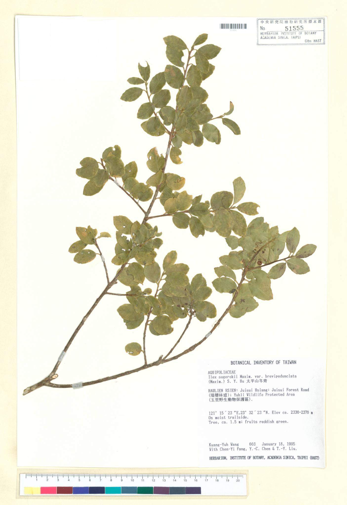 Sample image for viewer