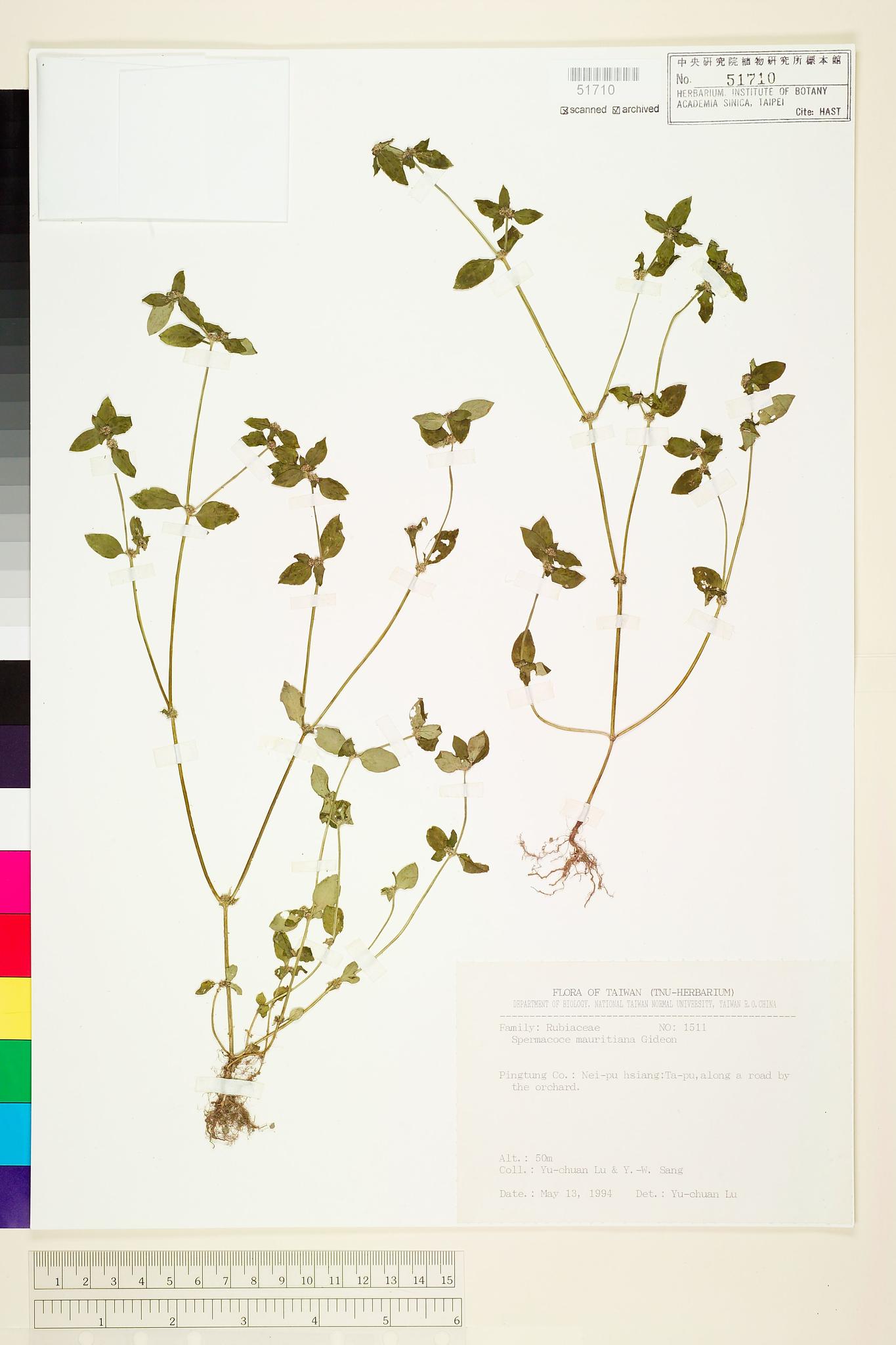 Sample image for viewer