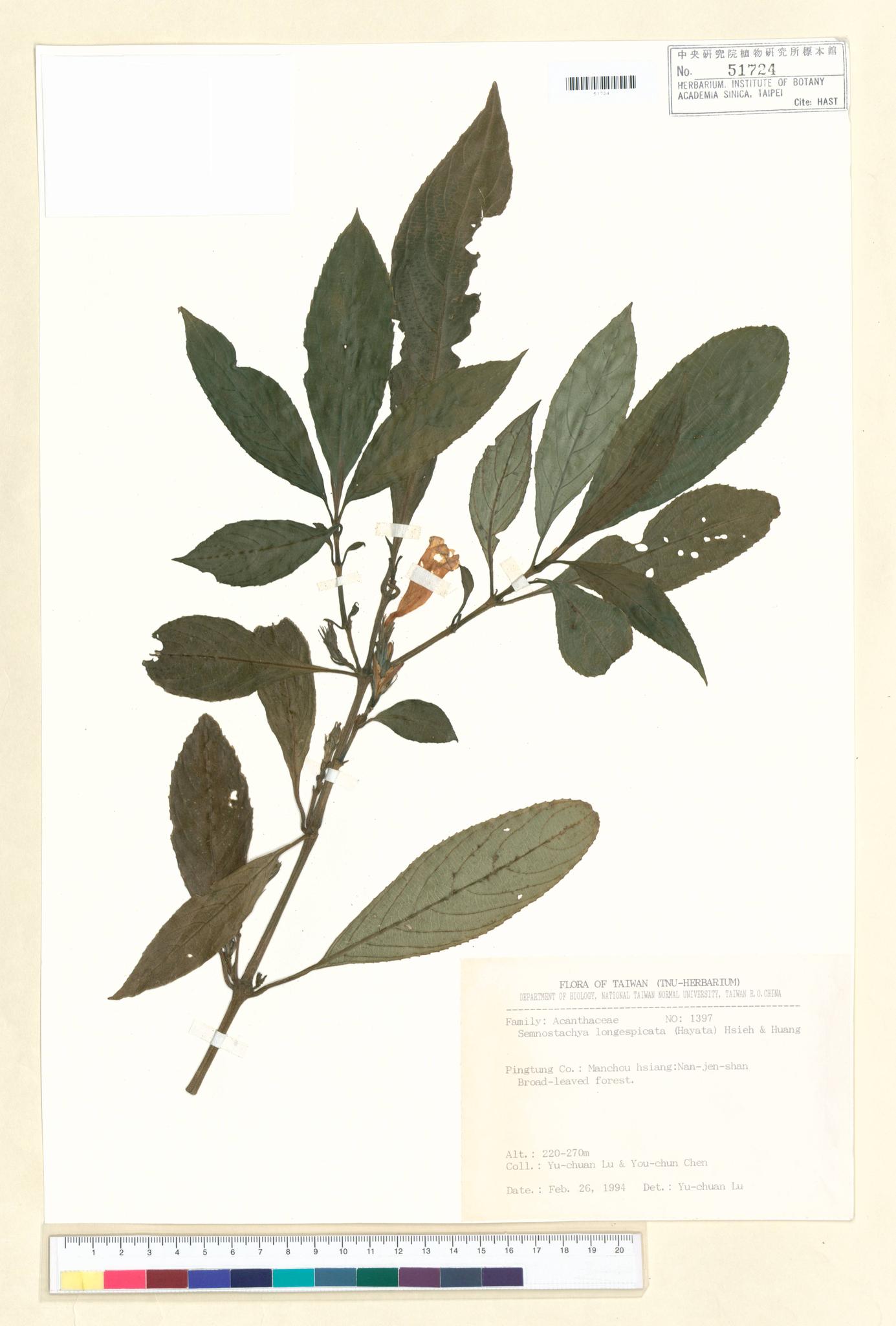 Sample image for viewer