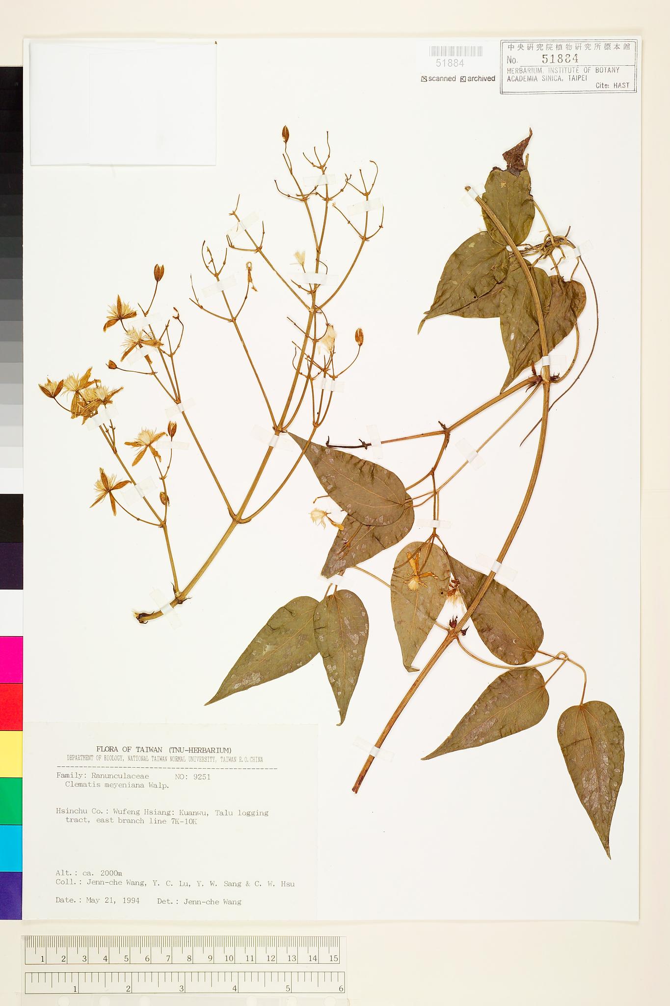 Sample image for viewer