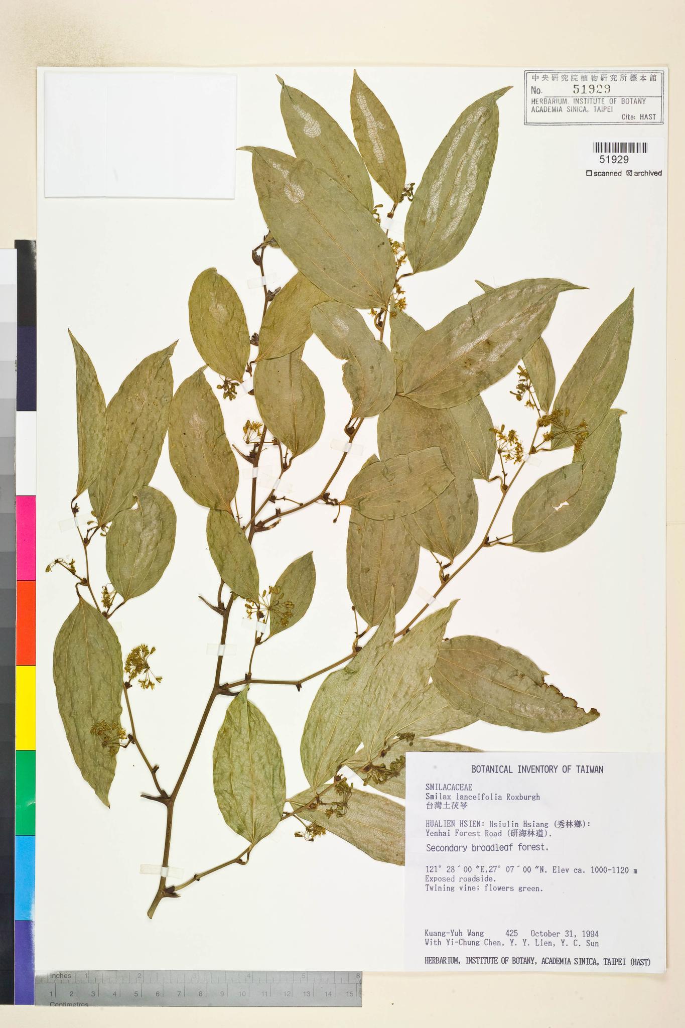 Sample image for viewer