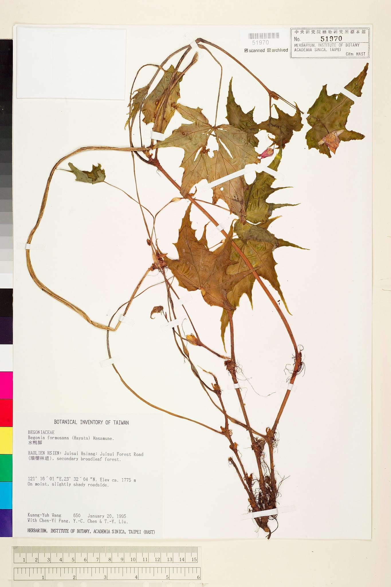 Sample image for viewer