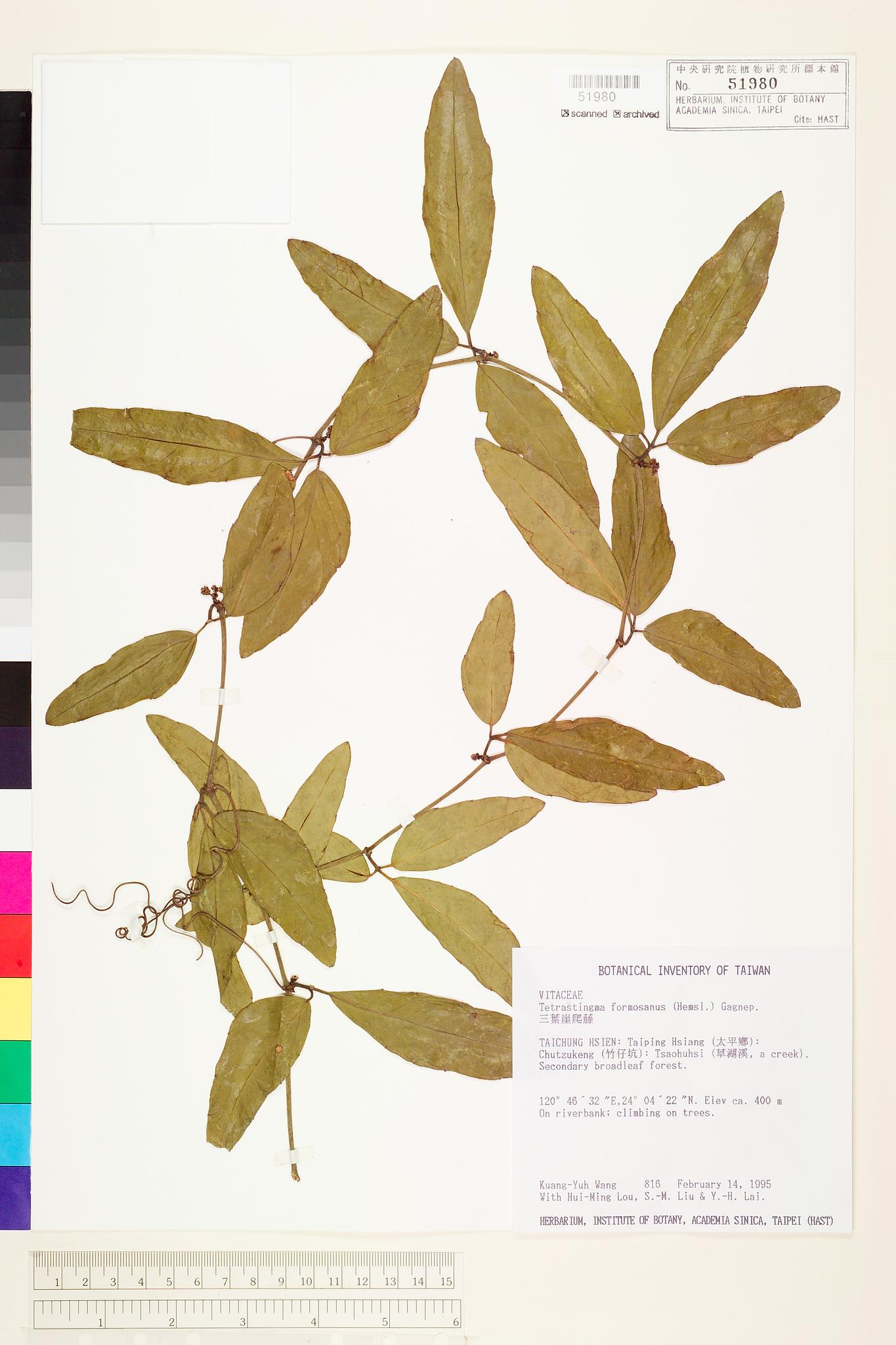 Sample image for viewer