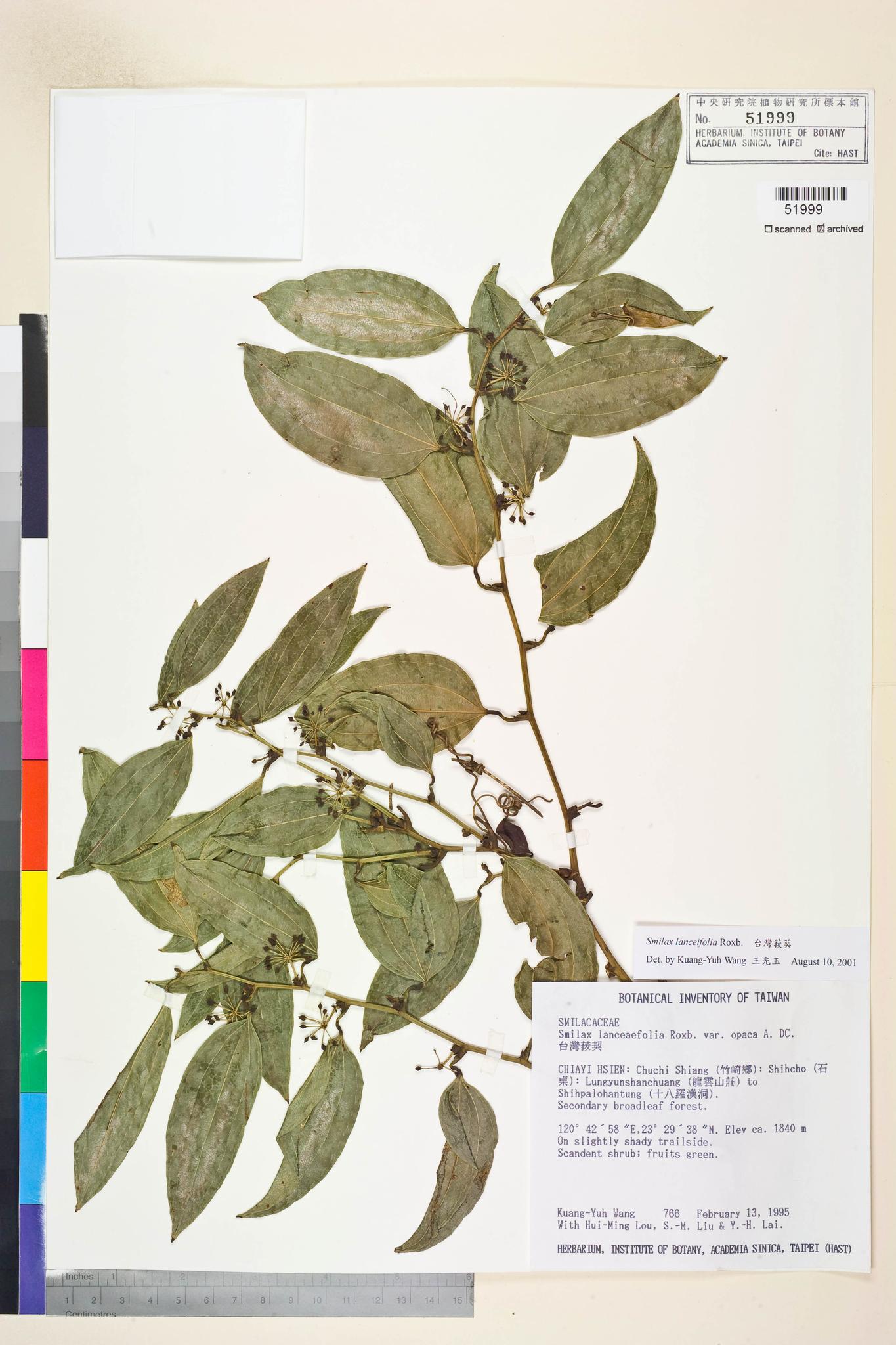 Sample image for viewer