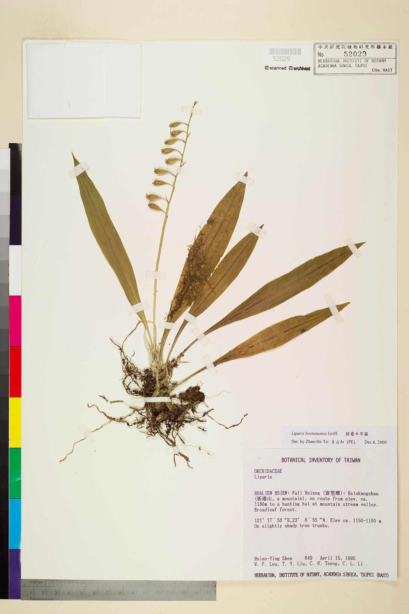 Sample image for viewer