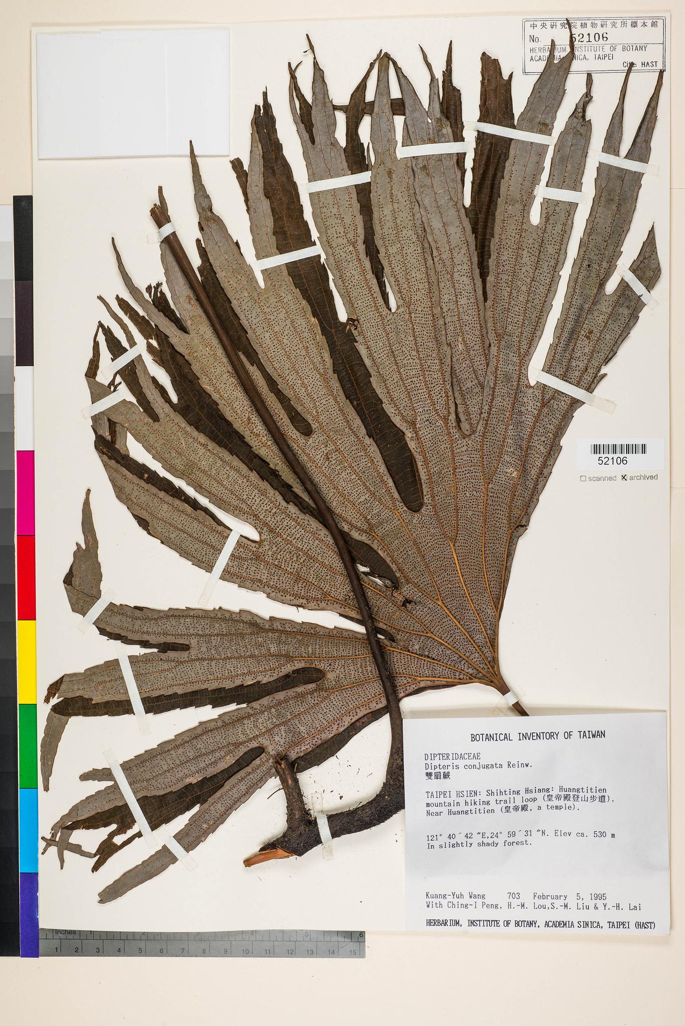 Specimen image