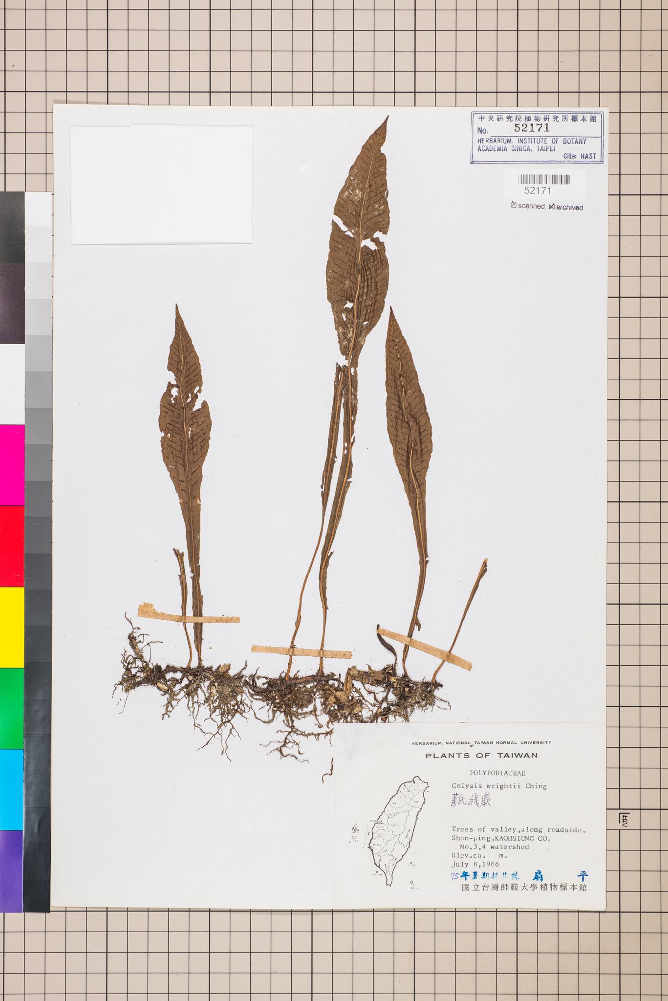 Specimen image