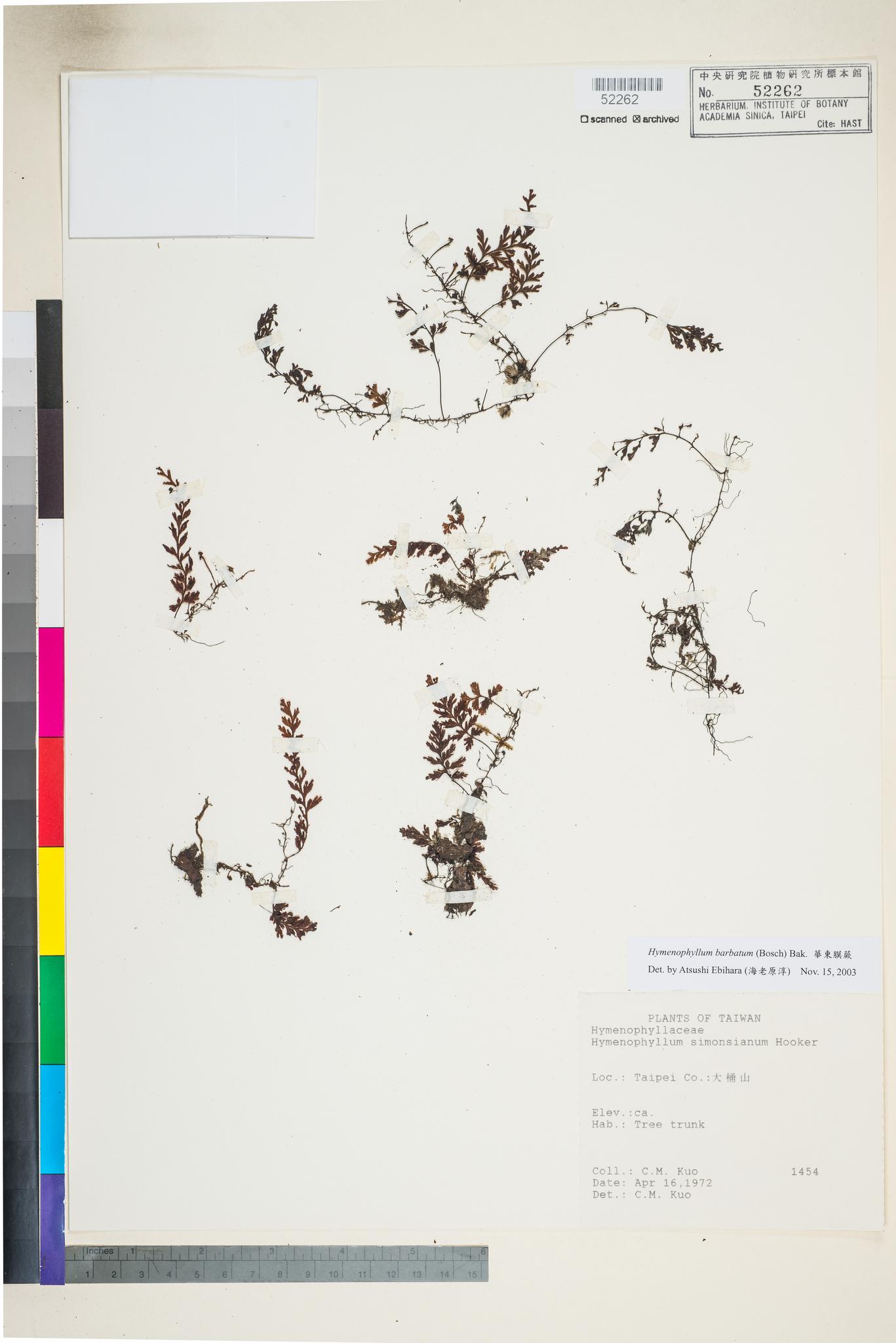 Sample image for viewer