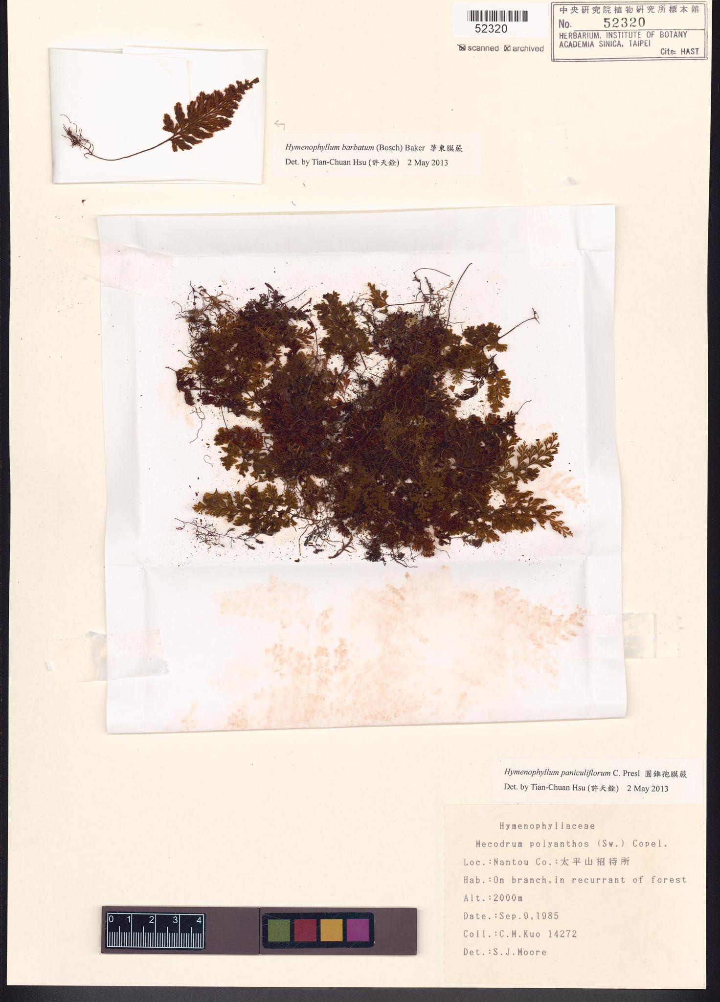 Sample image for viewer