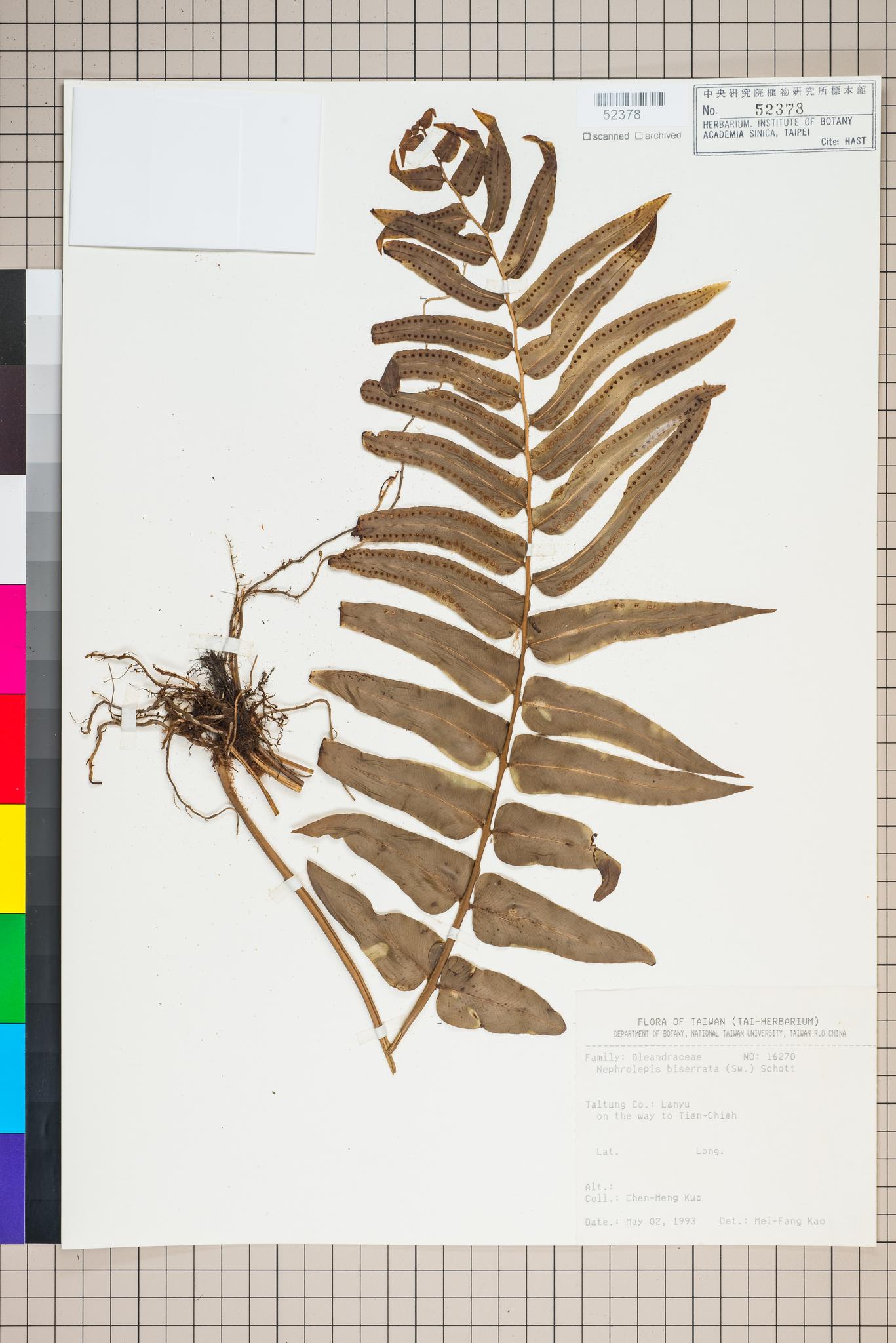 Sample image for viewer