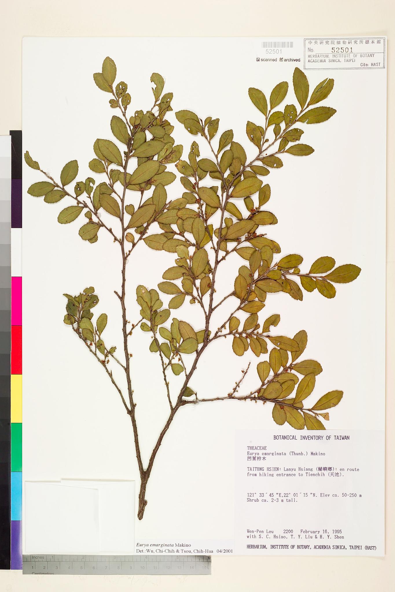 Sample image for viewer