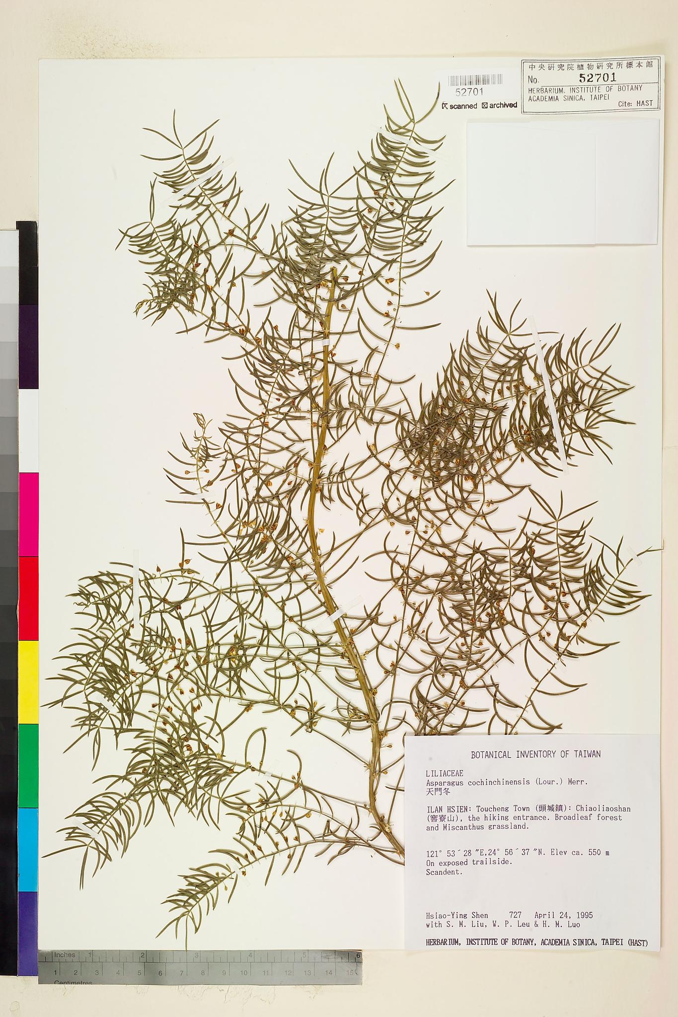 Sample image for viewer