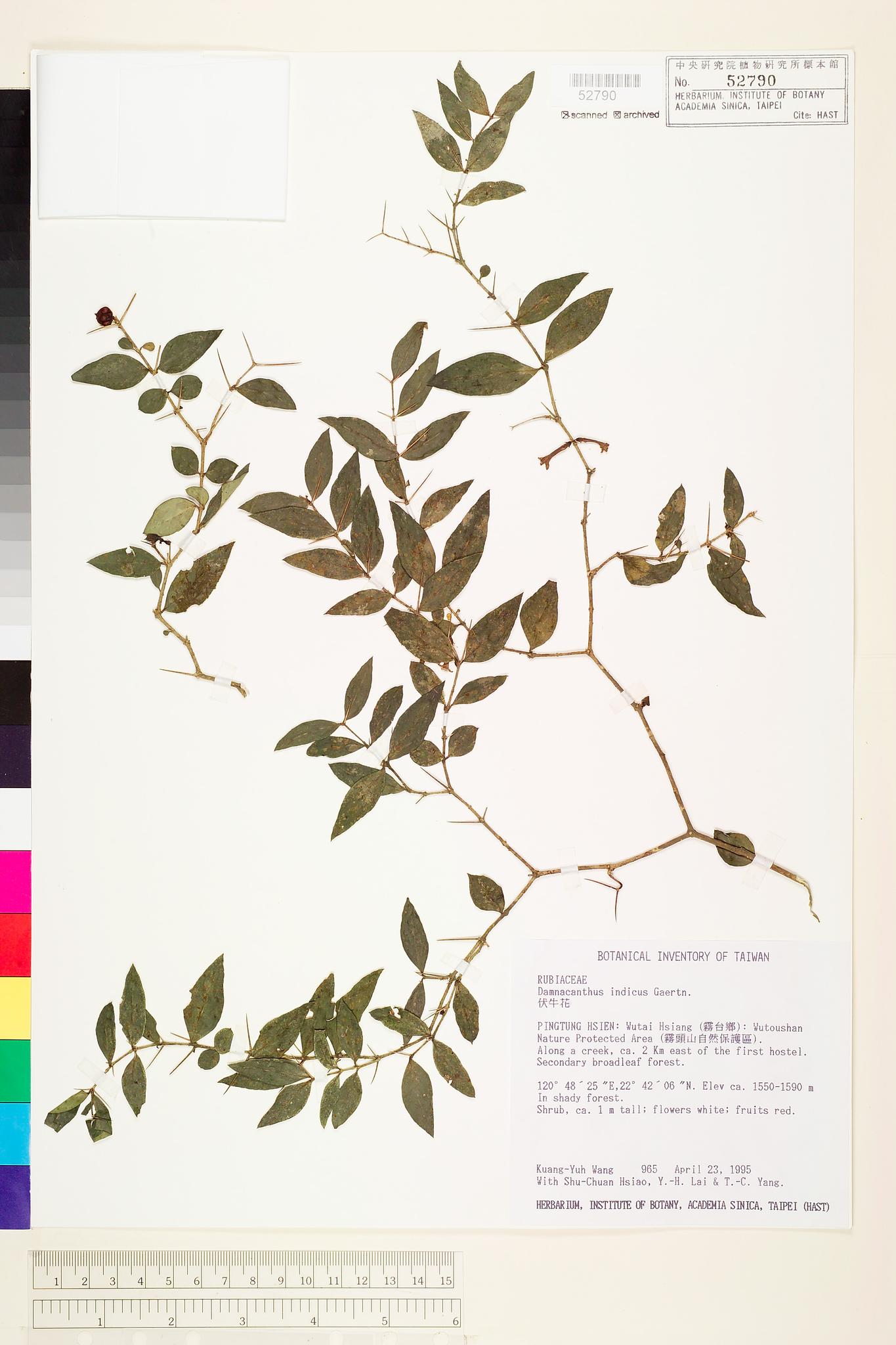 Sample image for viewer