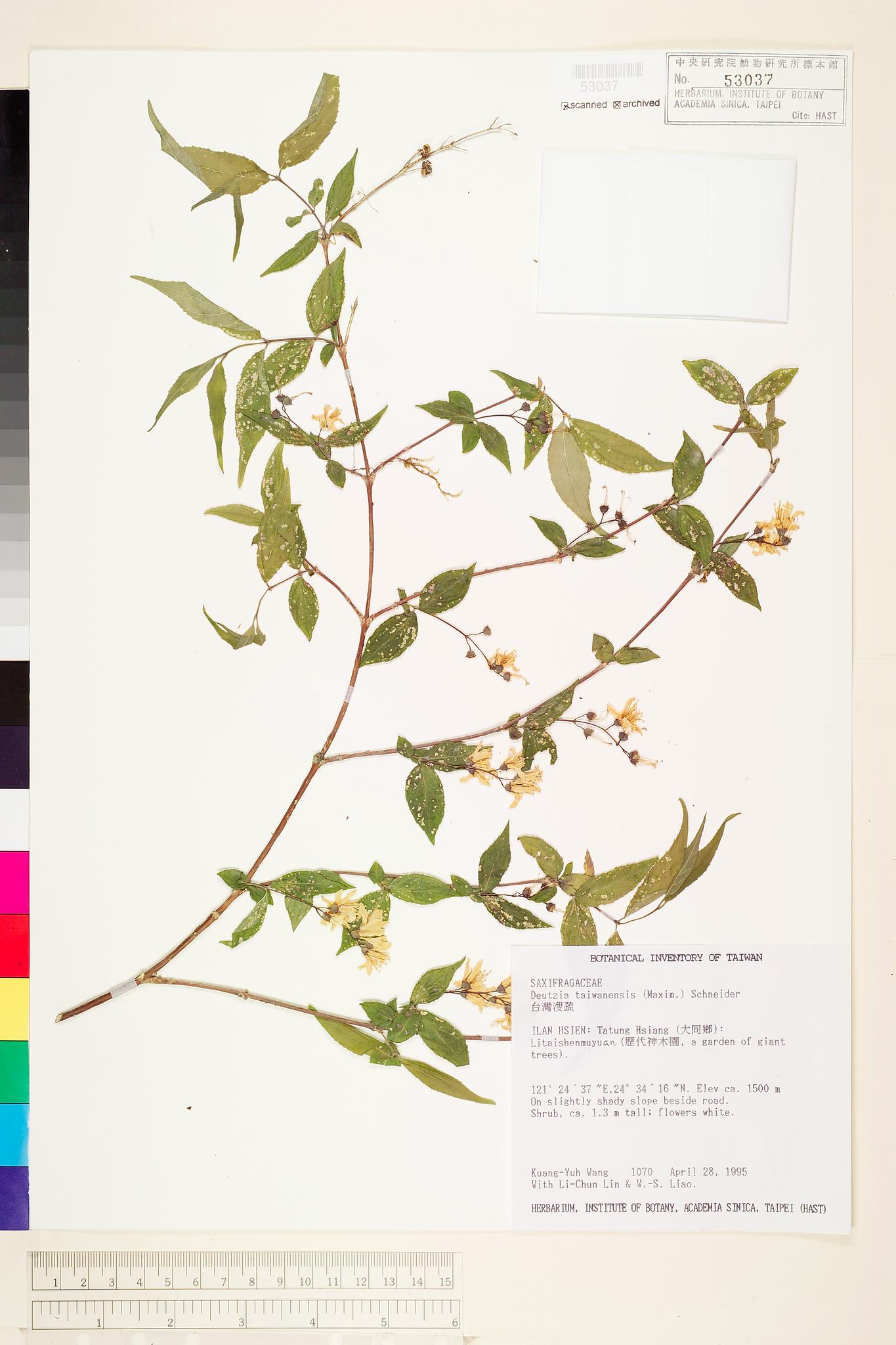 Sample image for viewer