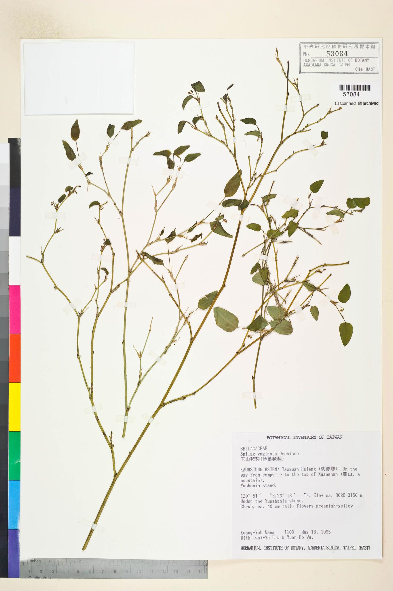 Sample image for viewer