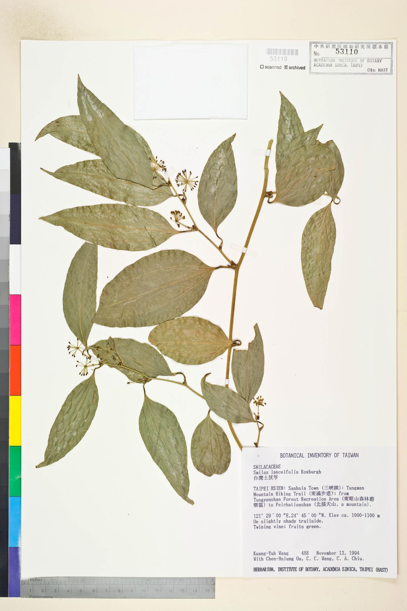 Sample image for viewer