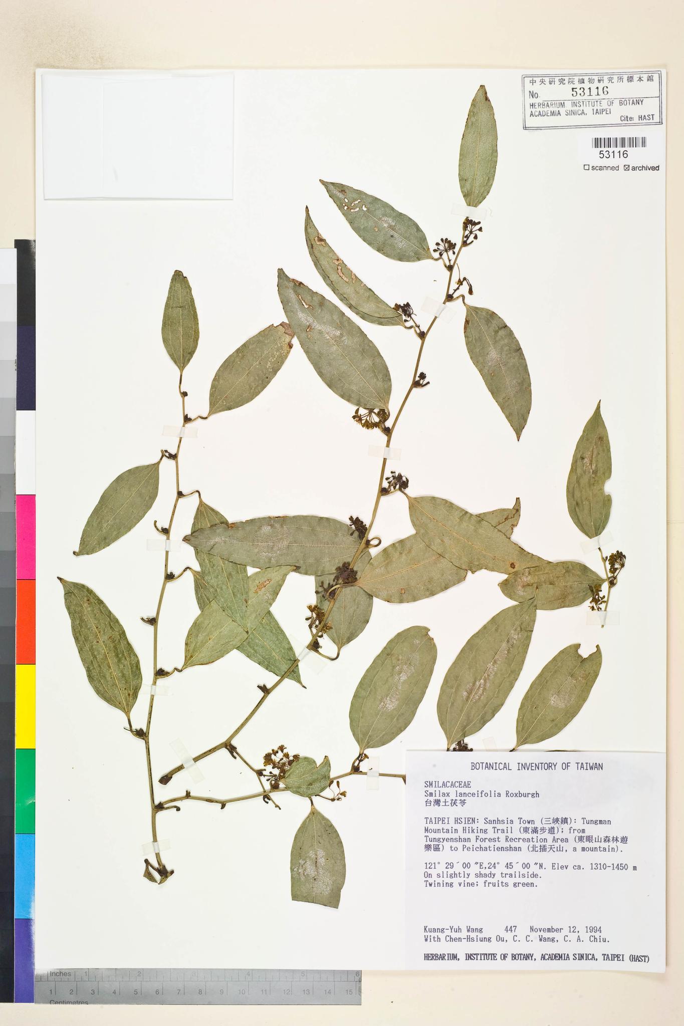 Sample image for viewer