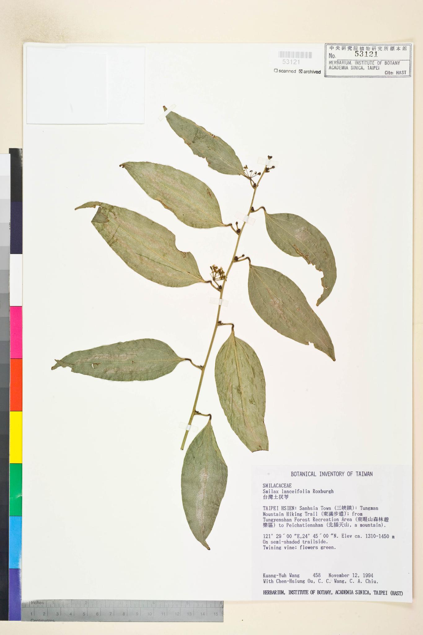 Sample image for viewer