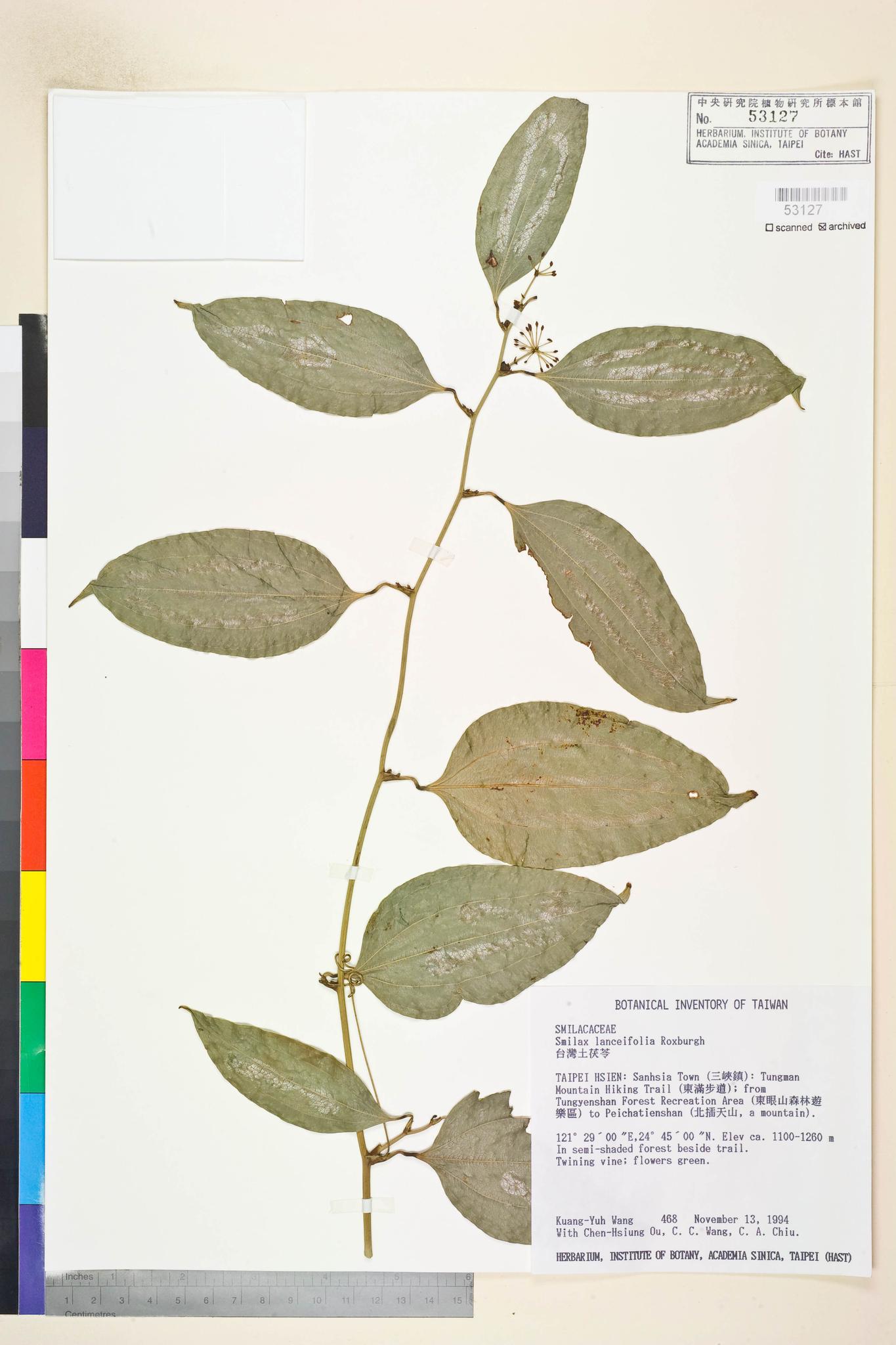 Sample image for viewer