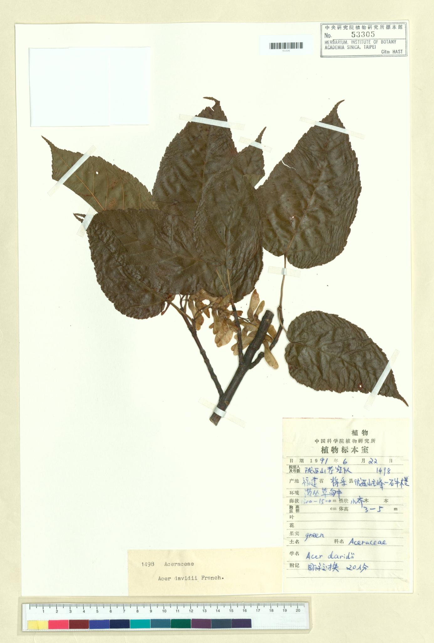 Sample image for viewer