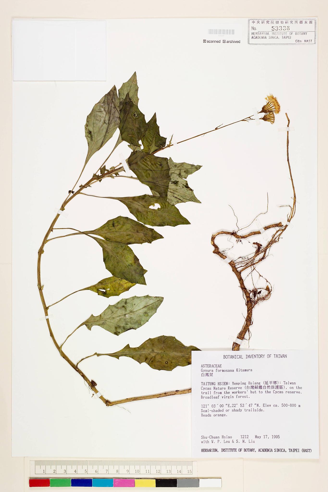 Sample image for viewer