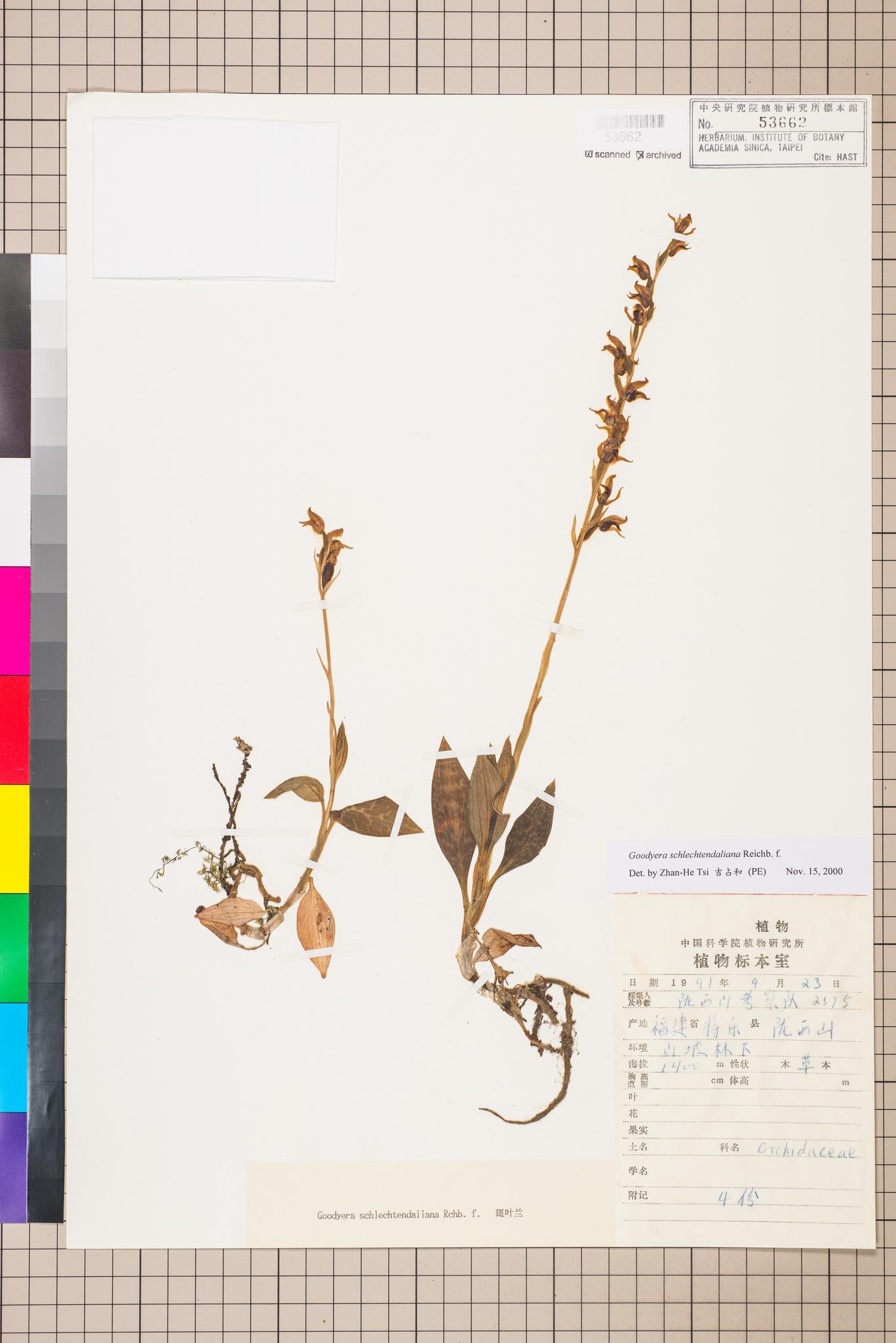 Sample image for viewer