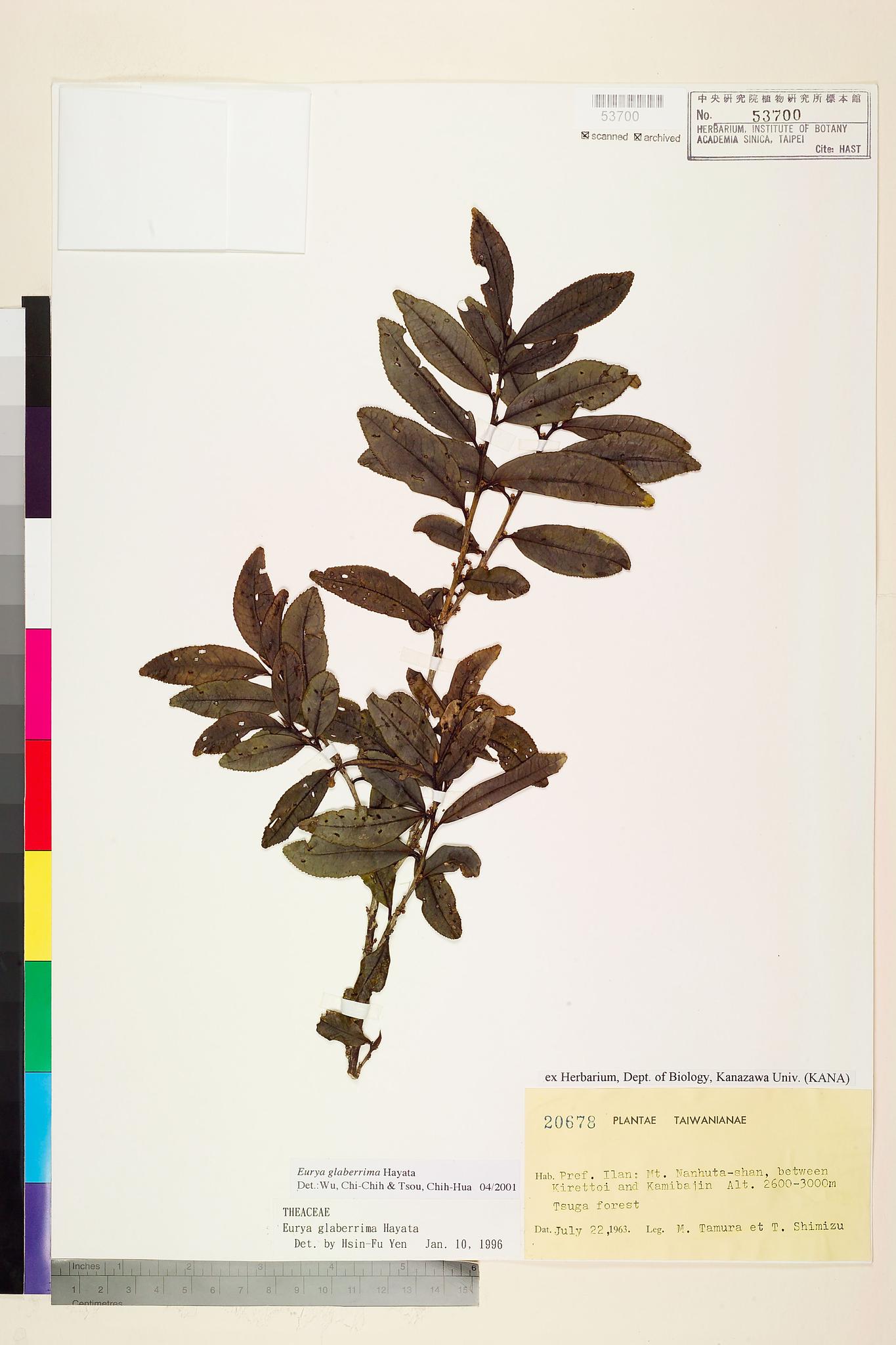 Sample image for viewer