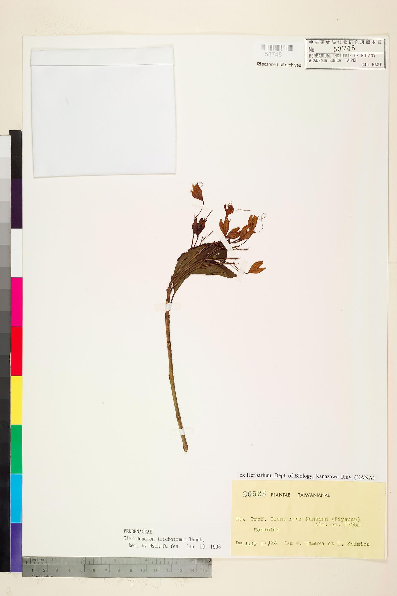 Sample image for viewer