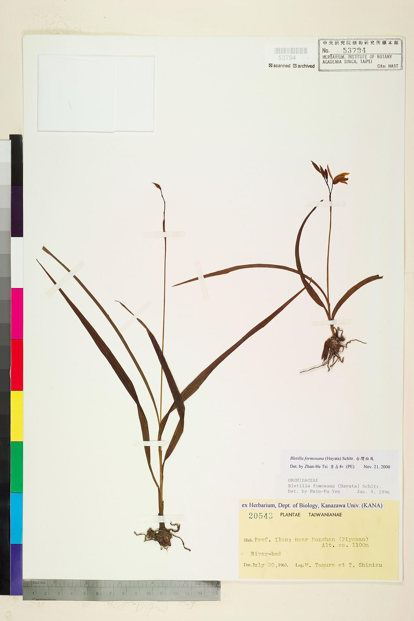 Sample image for viewer