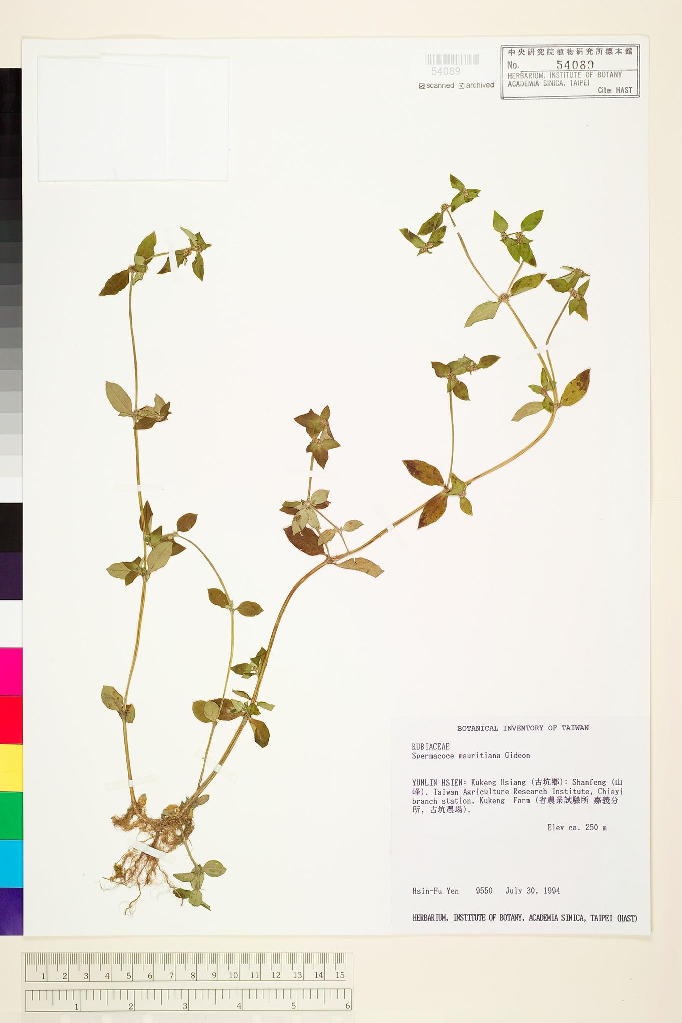 Sample image for viewer