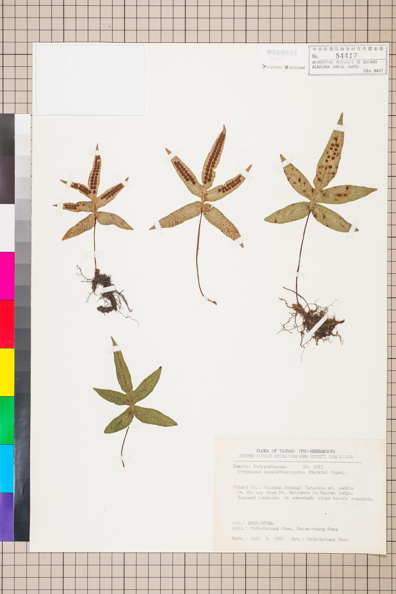 Sample image for viewer