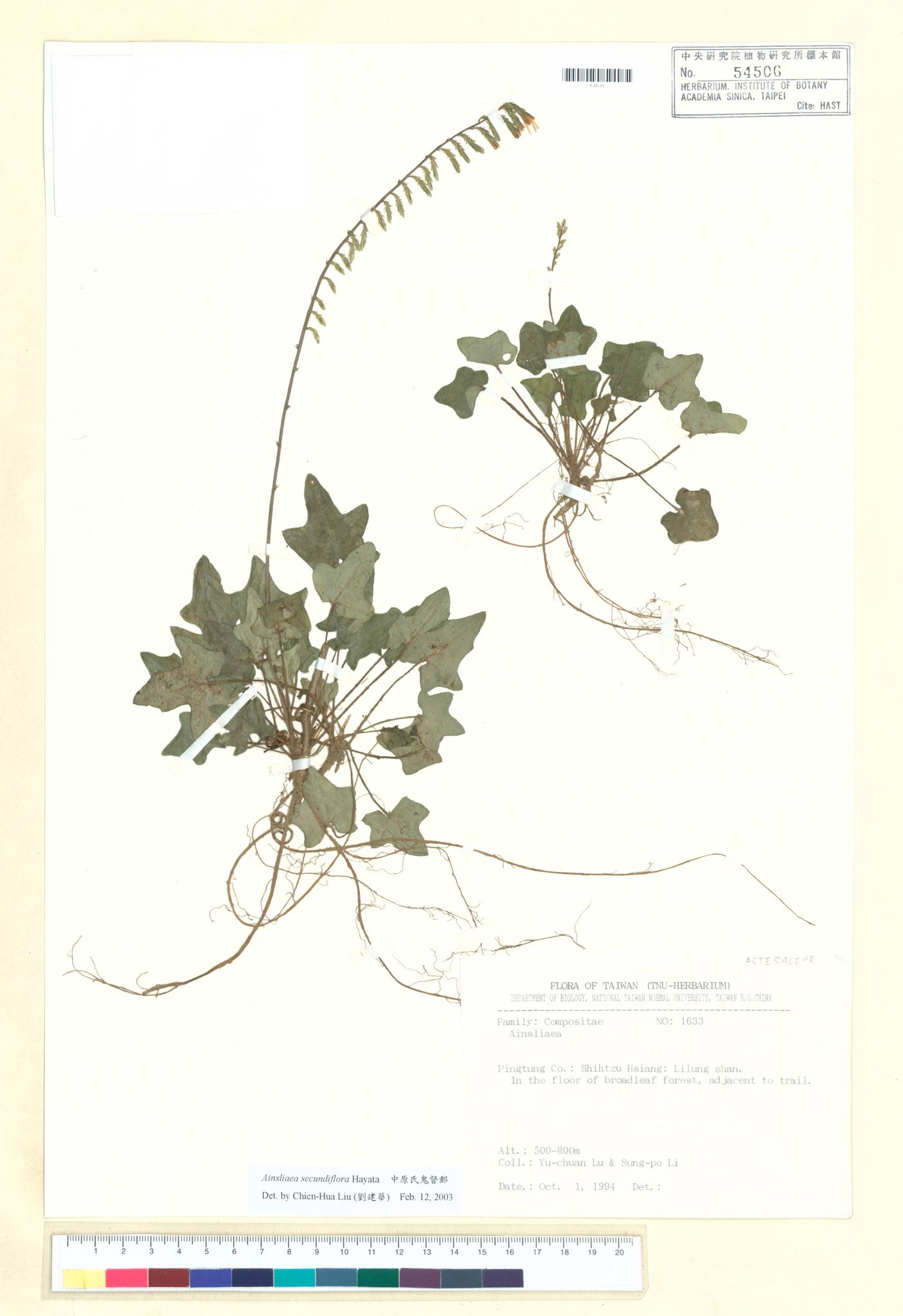 Sample image for viewer