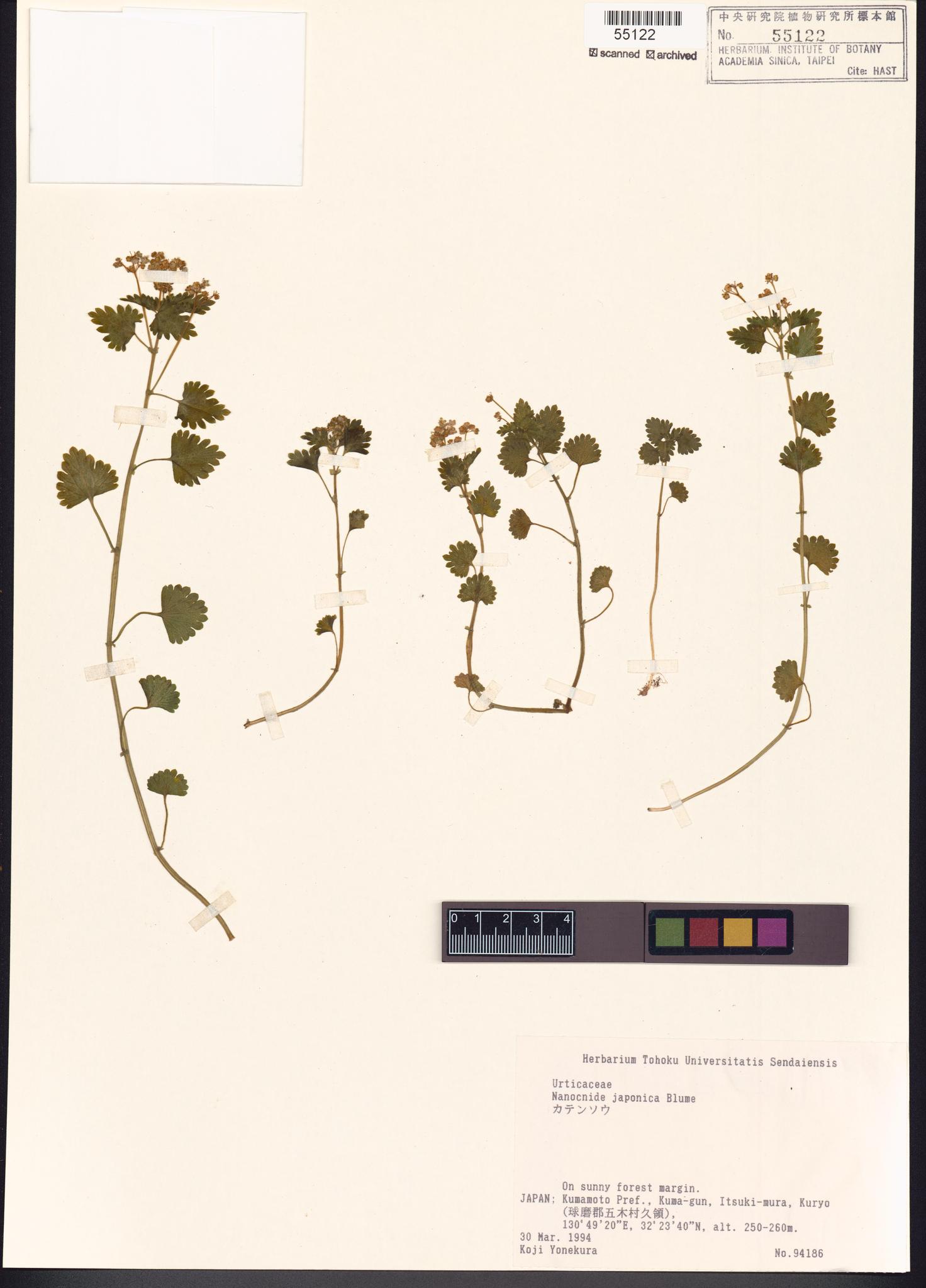 Sample image for viewer