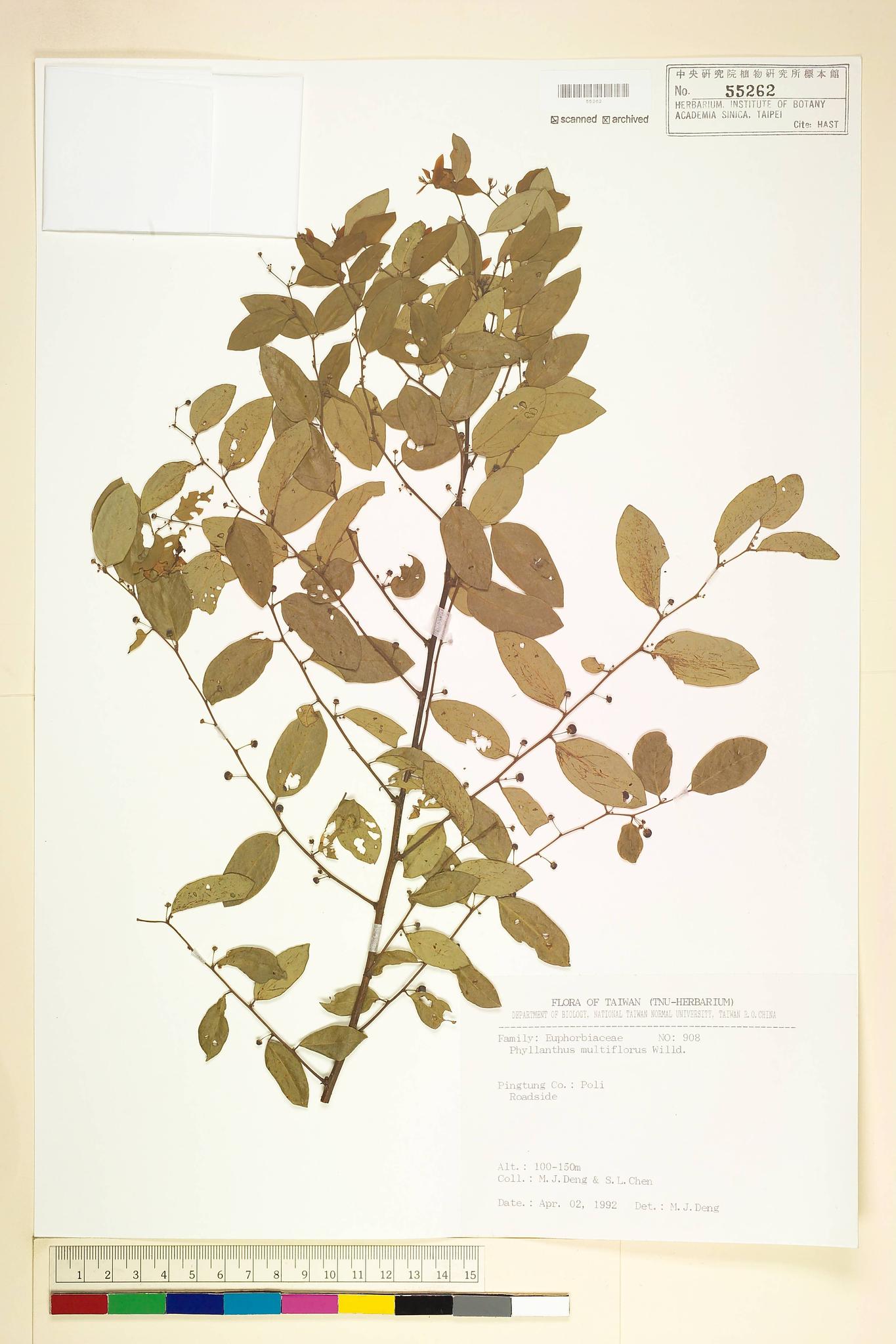 Sample image for viewer