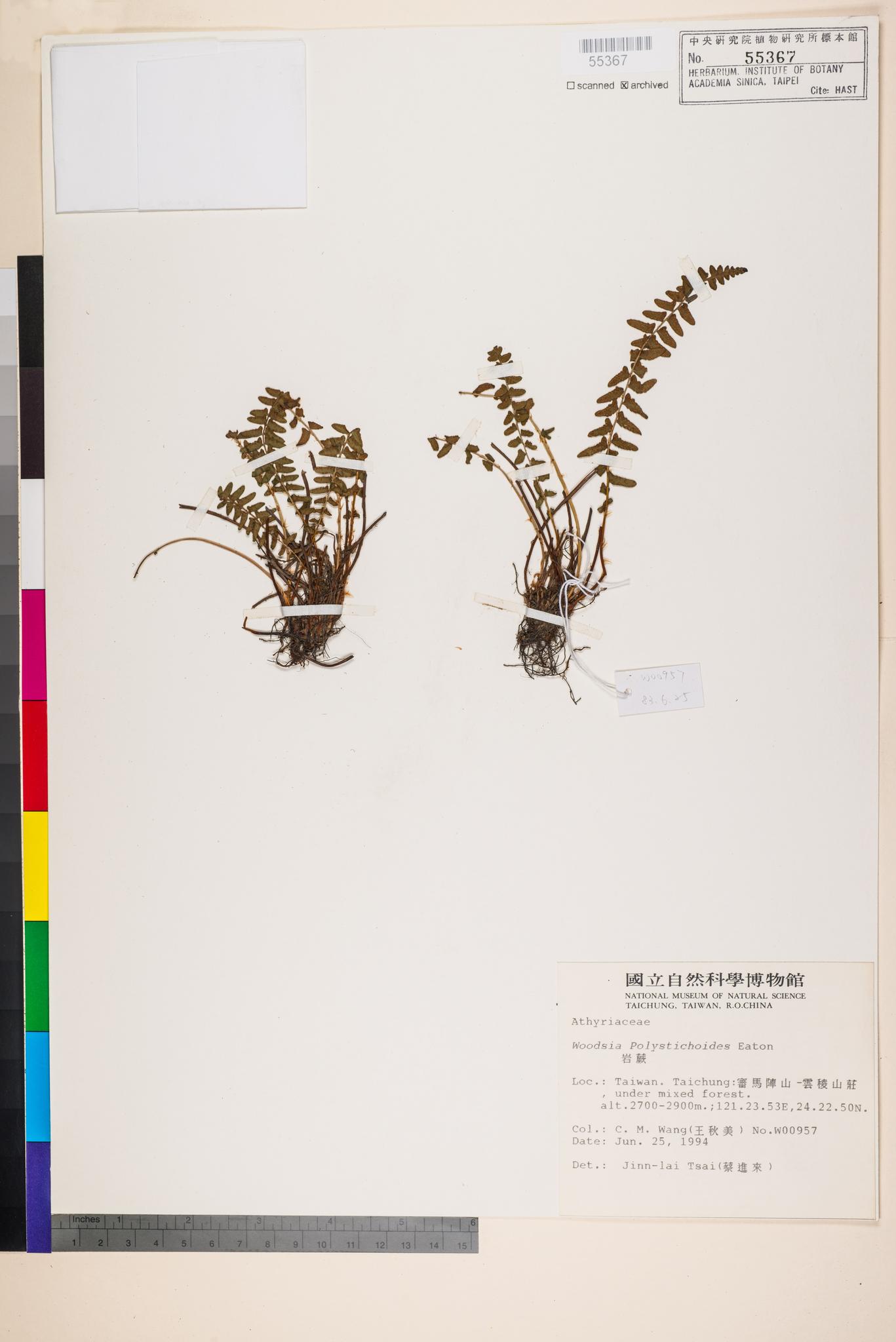 Sample image for viewer