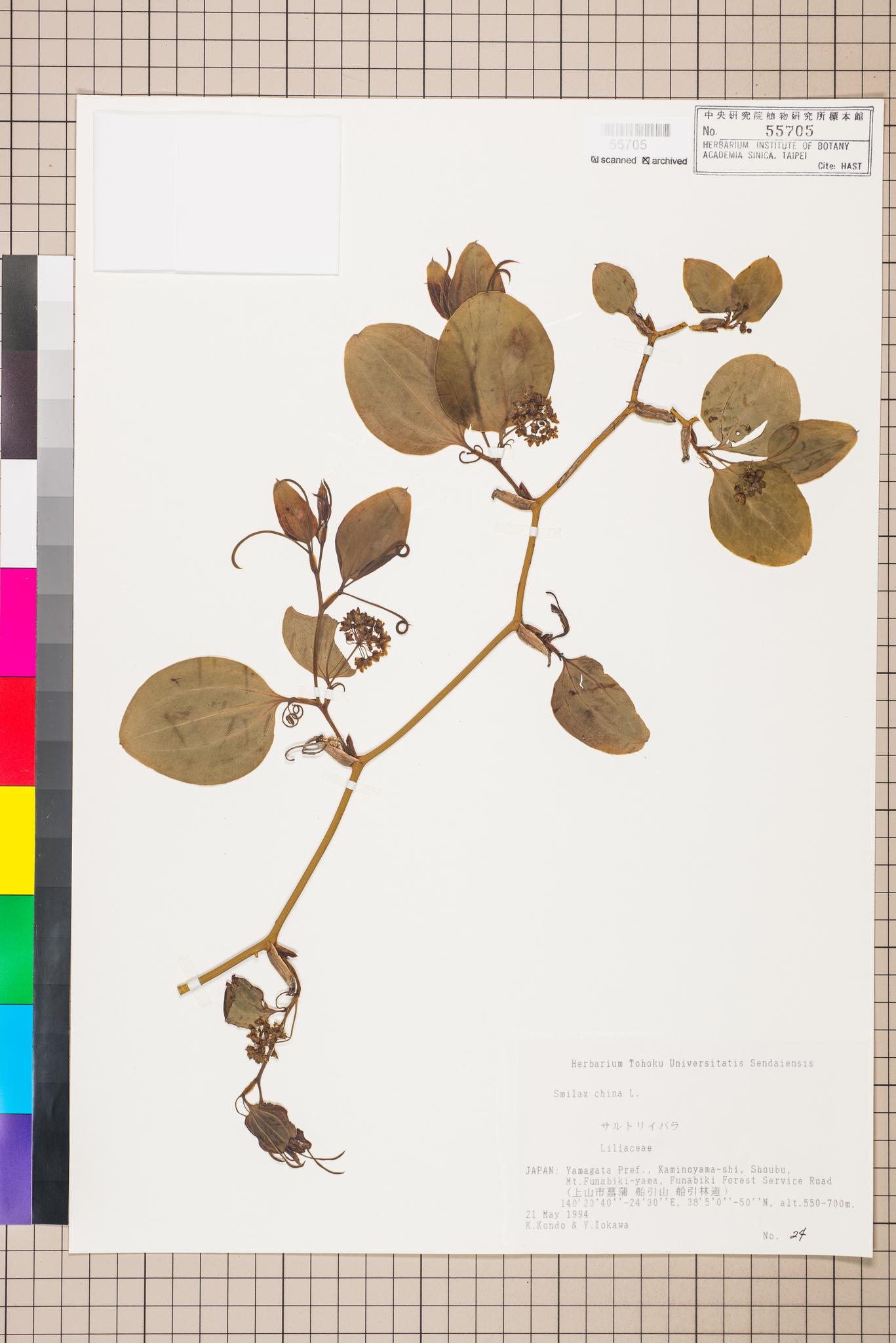 Specimen image