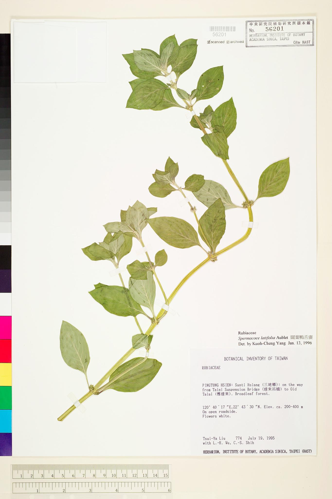 Sample image for viewer