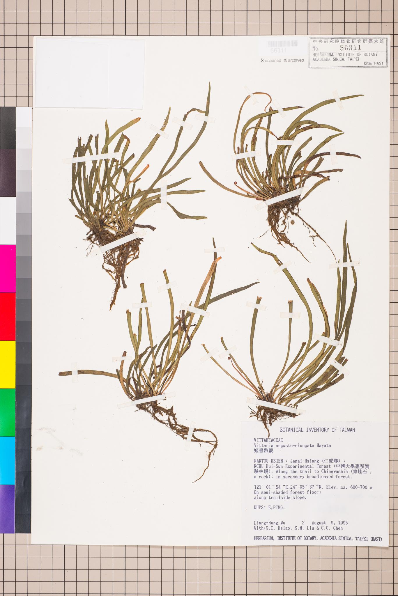 Sample image for viewer