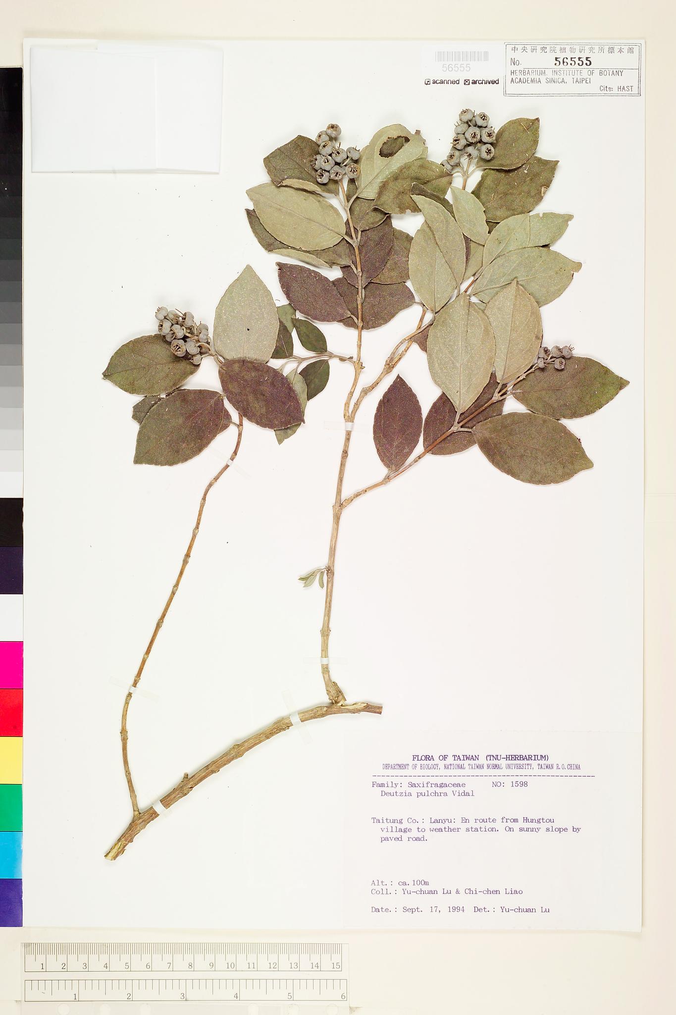 Sample image for viewer