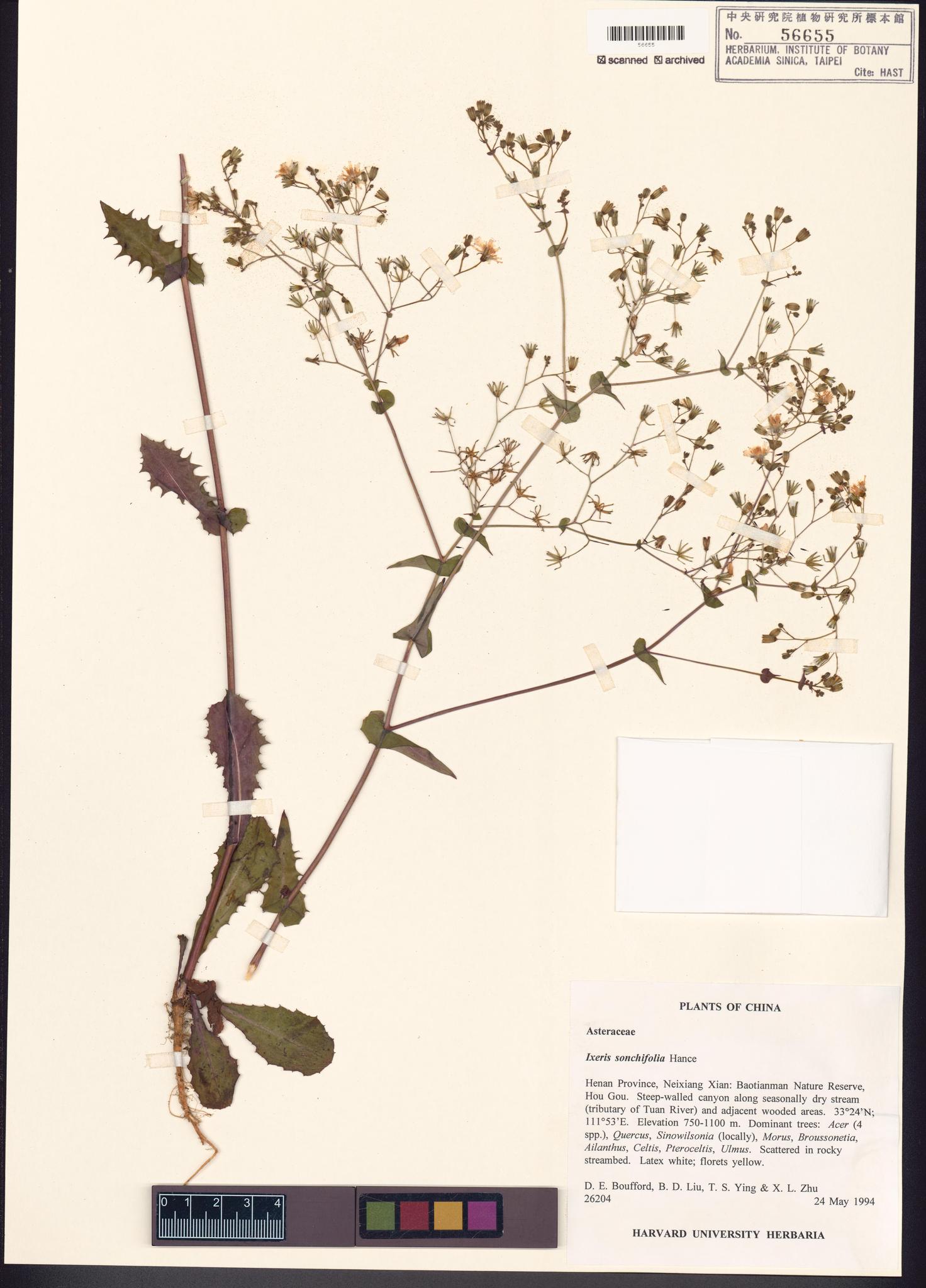 Specimen image