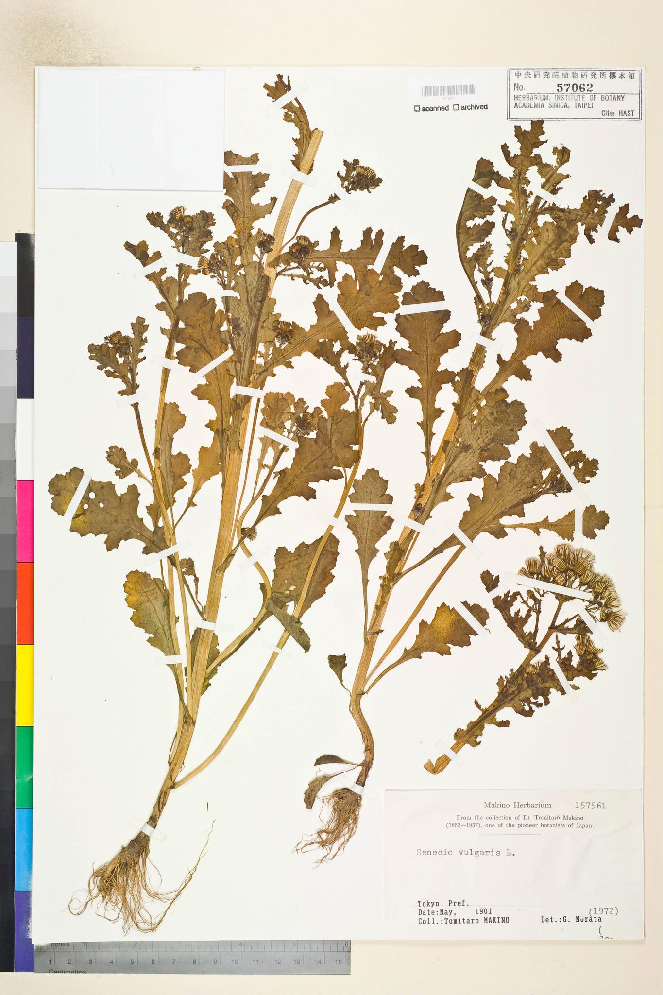 Sample image for viewer