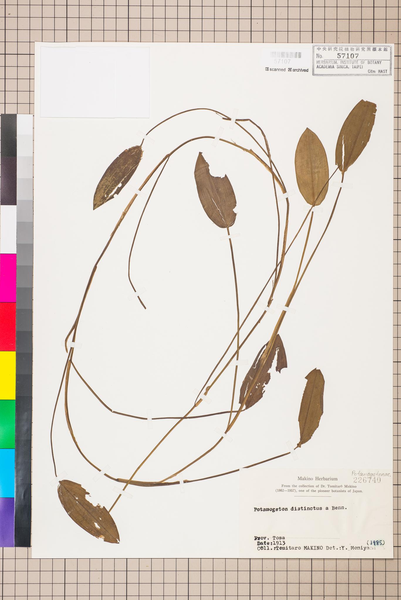 Sample image for viewer