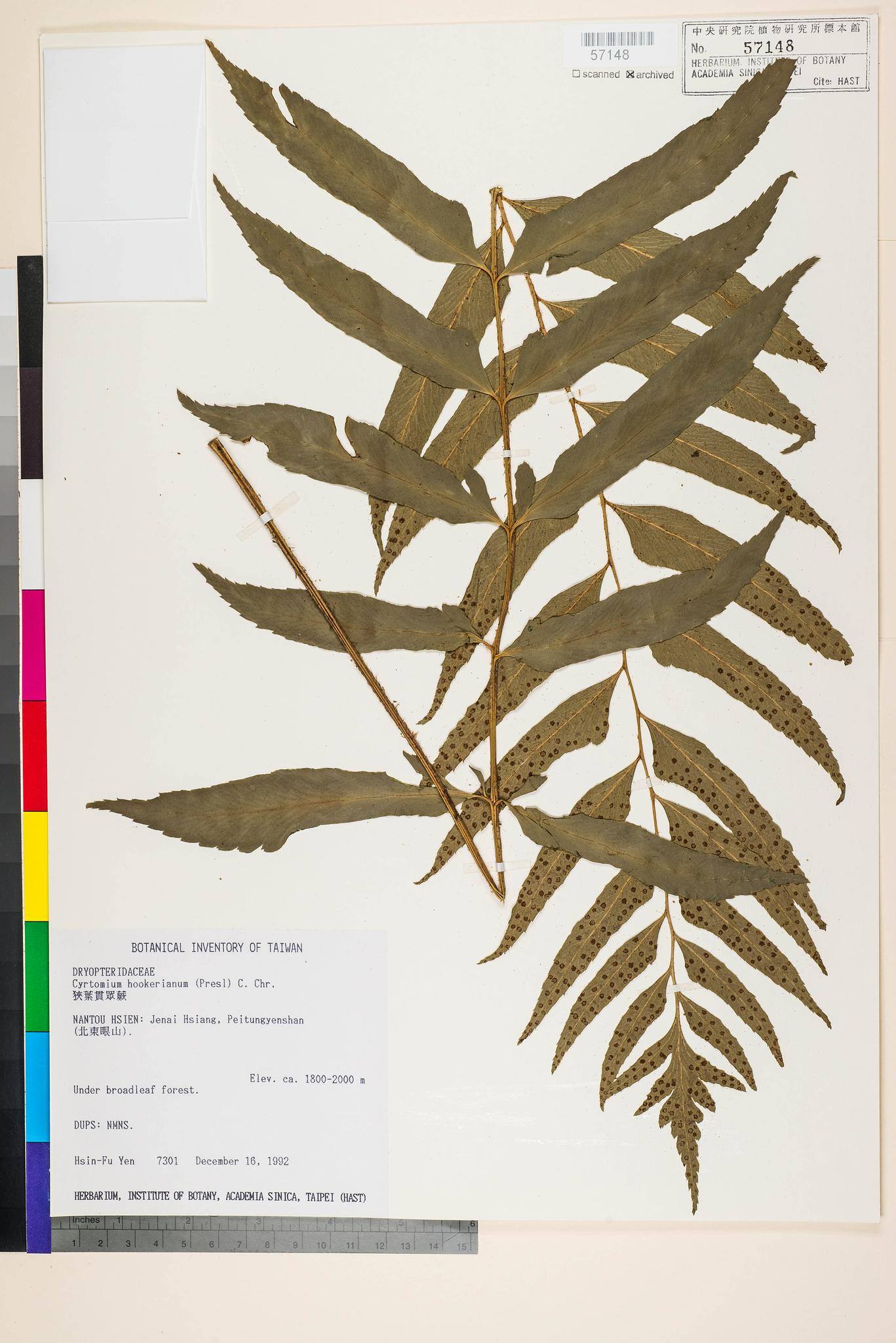 Sample image for viewer