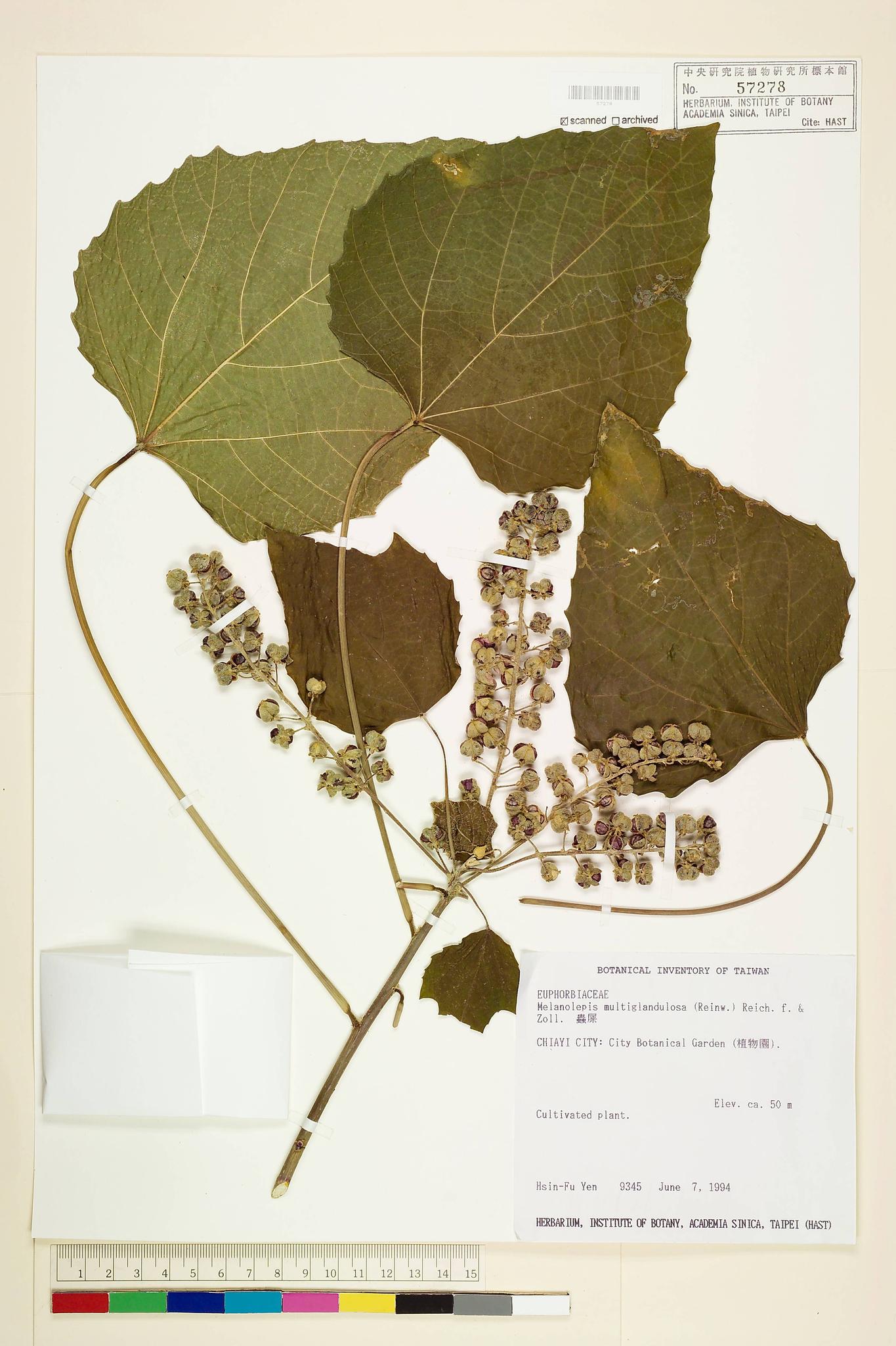 Sample image for viewer