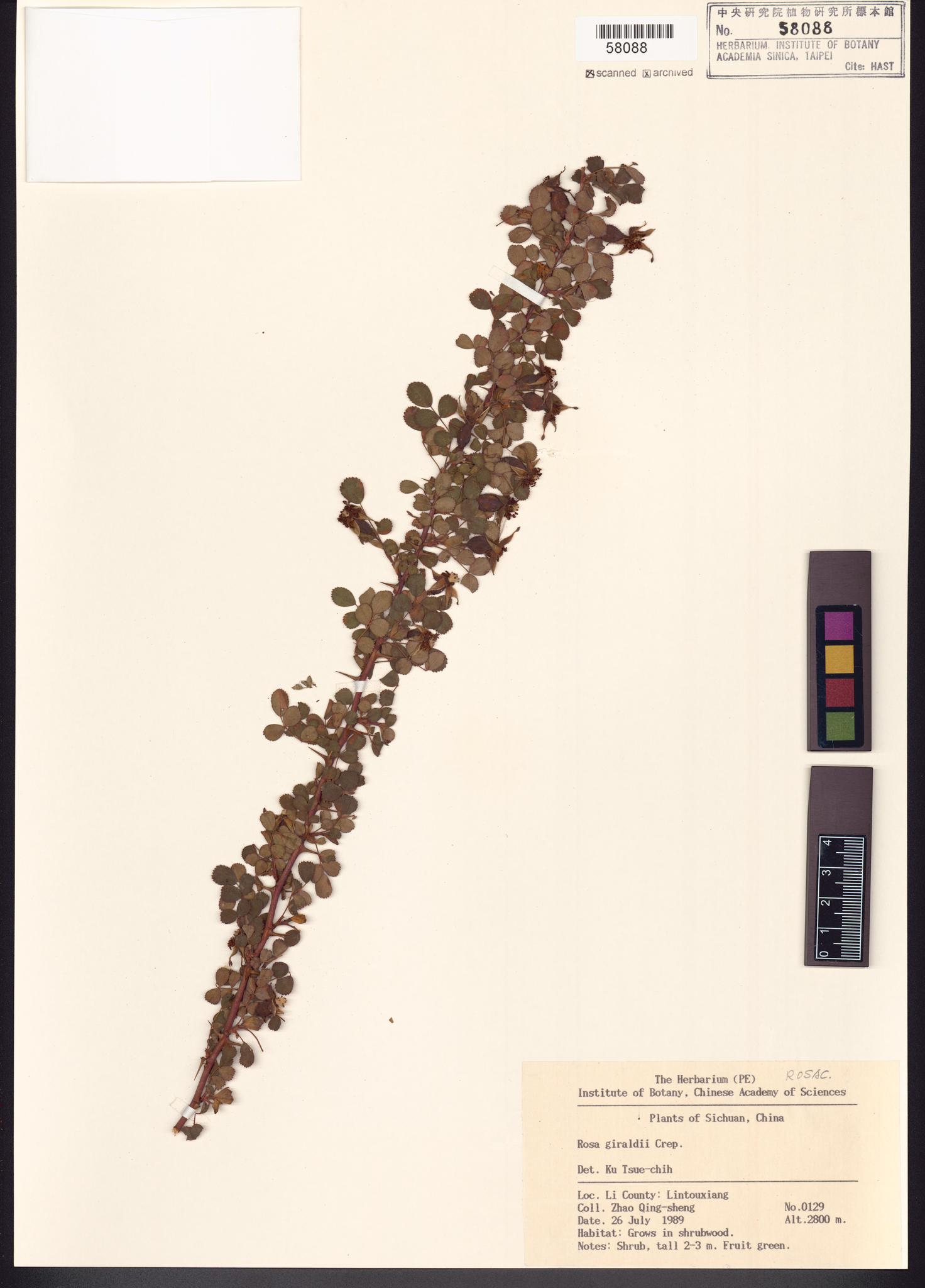 Sample image for viewer