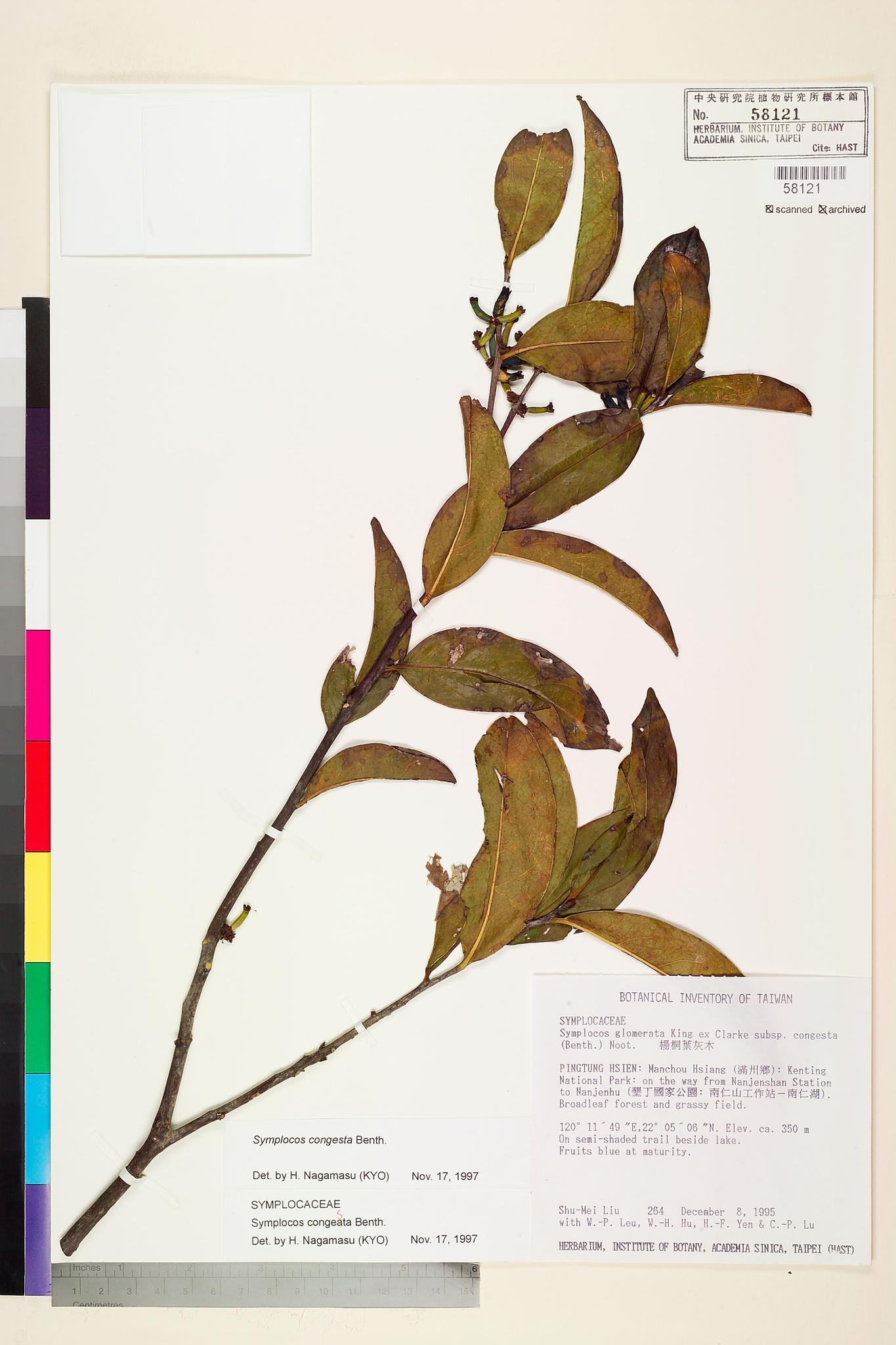 Sample image for viewer