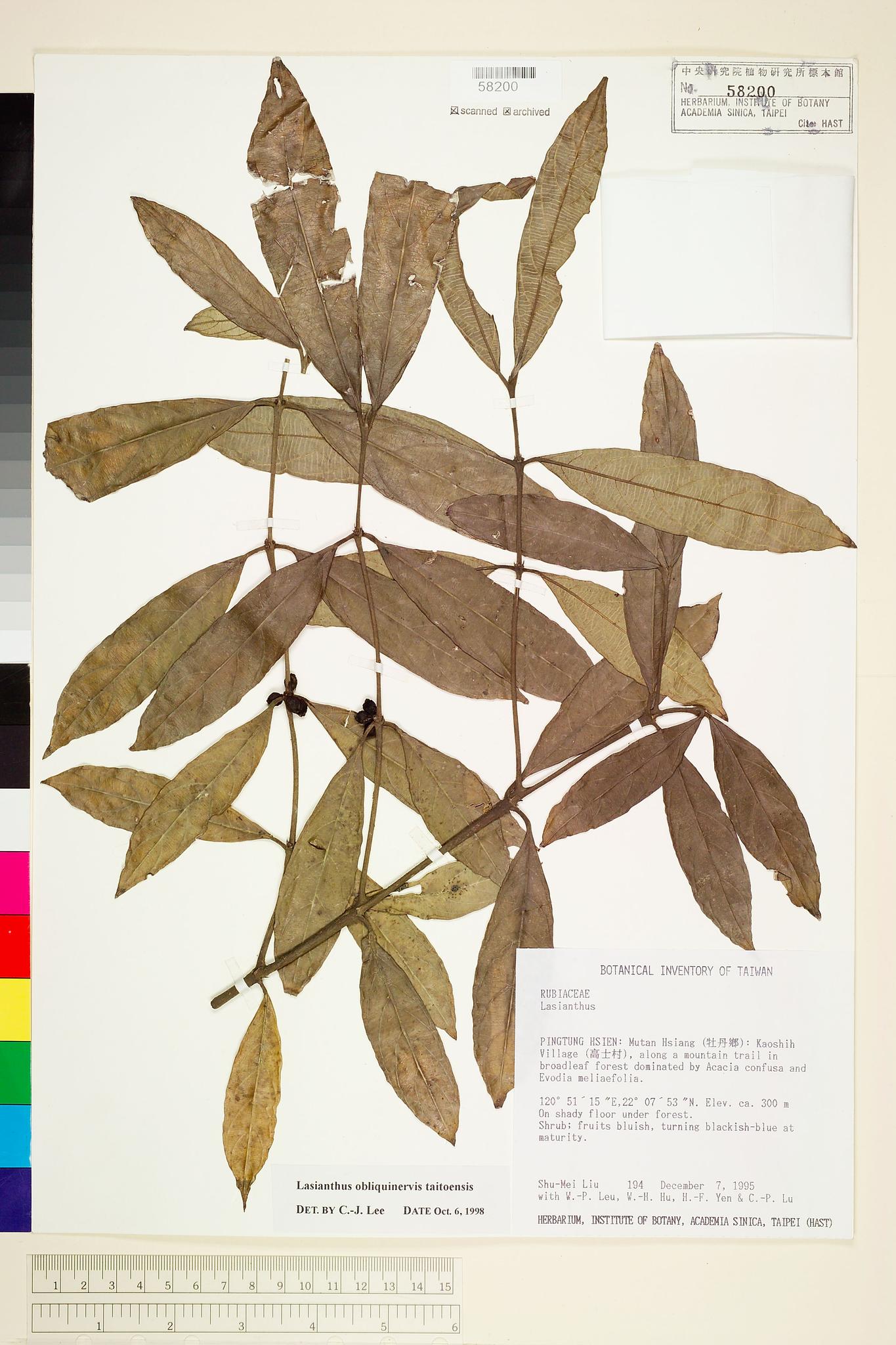 Sample image for viewer