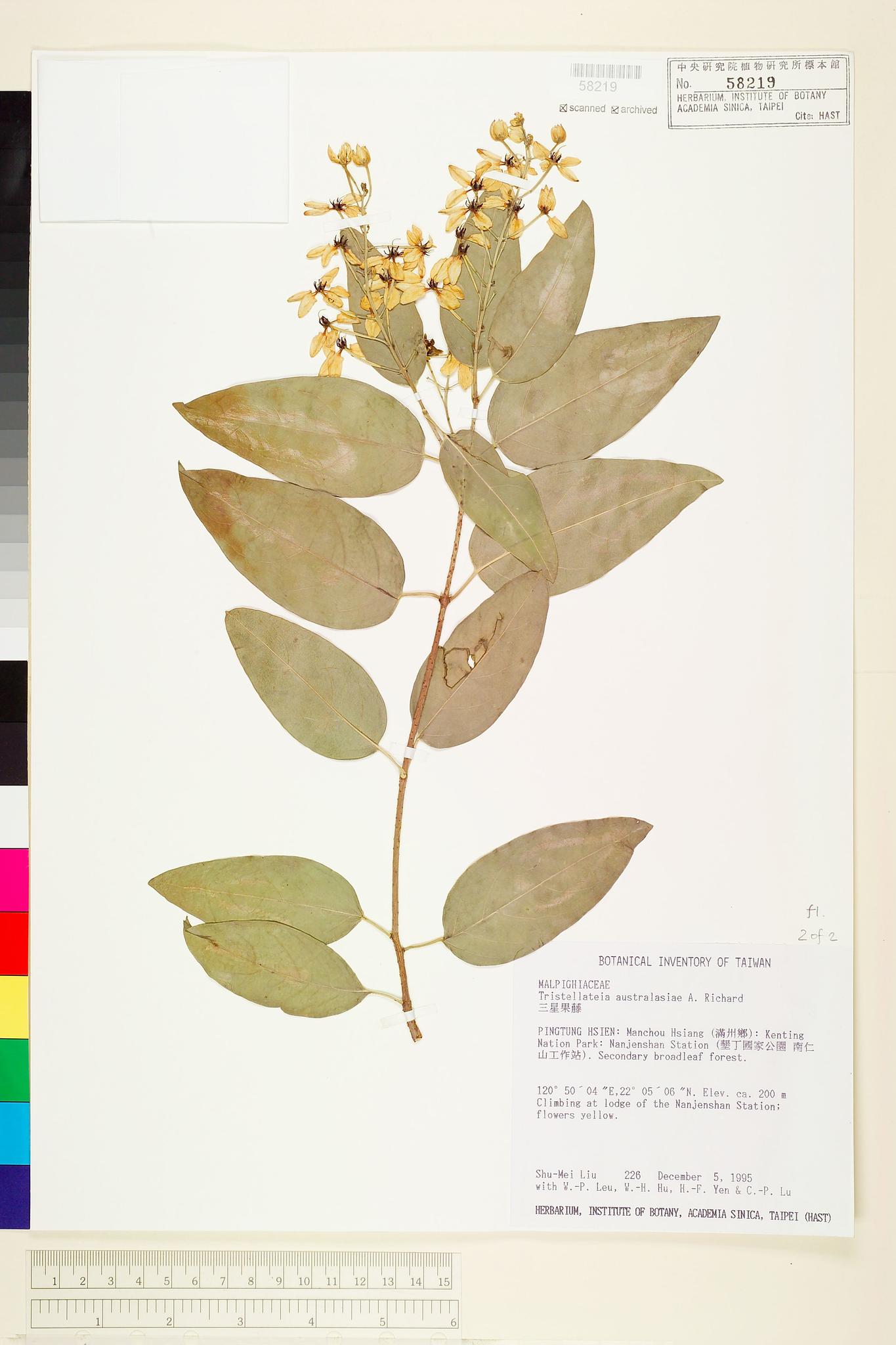 Sample image for viewer