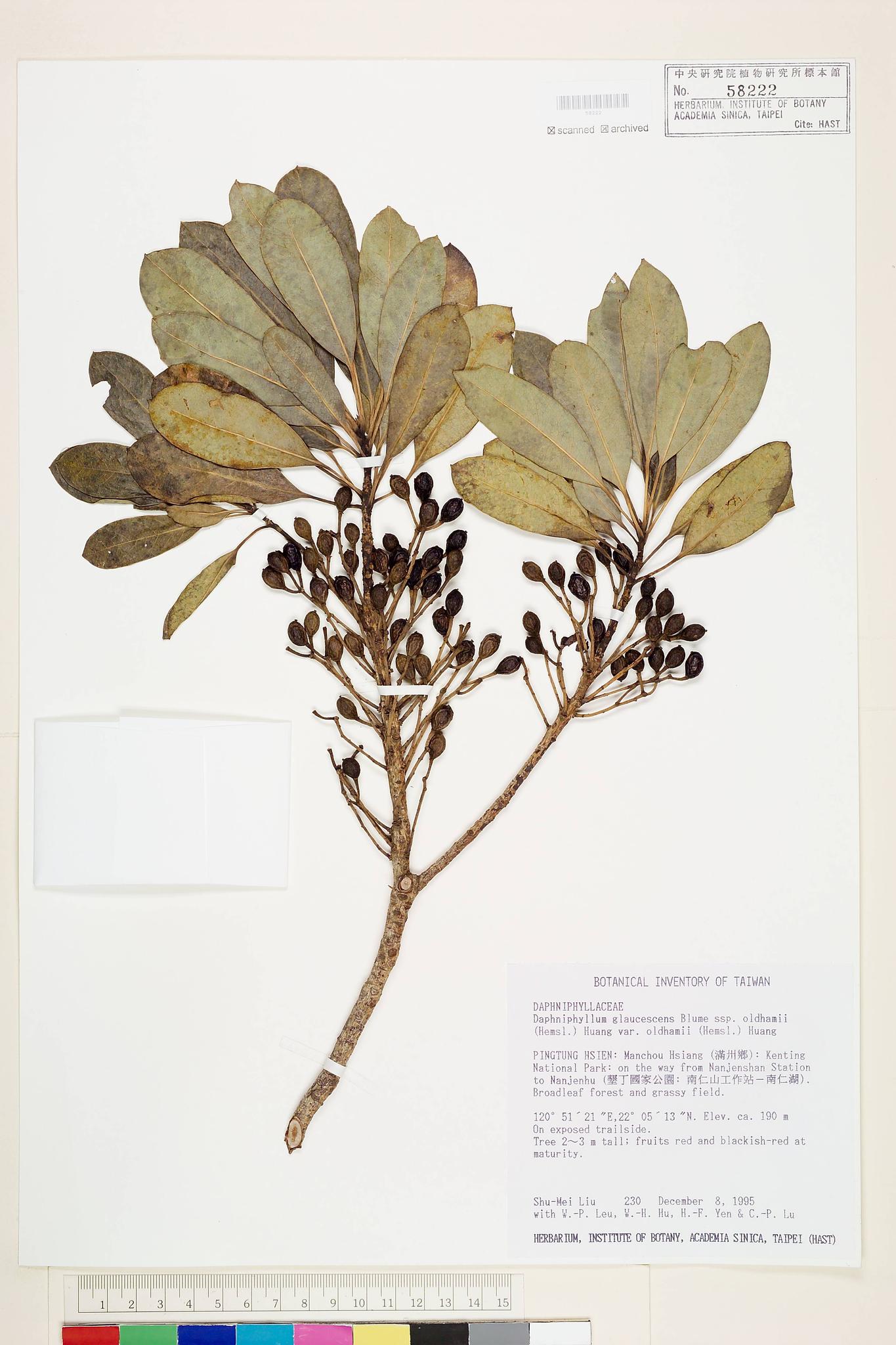 Sample image for viewer