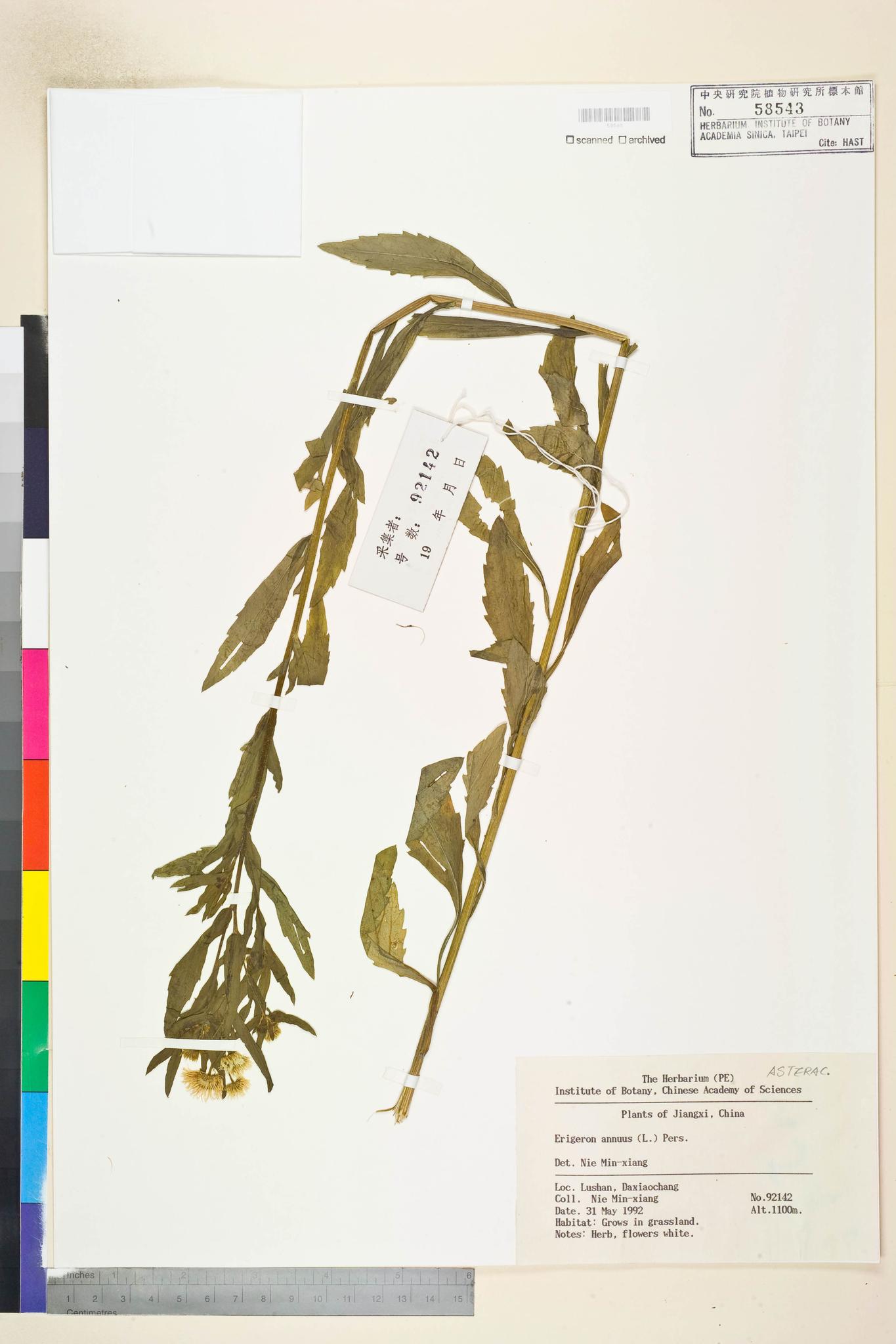 Sample image for viewer